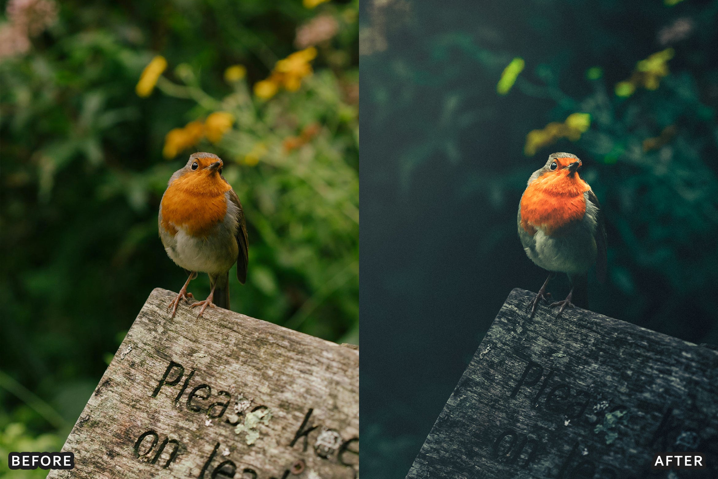 AI-Optimized Dark Green Lightroom Presets - Lightroom Presets - by AAA Presets