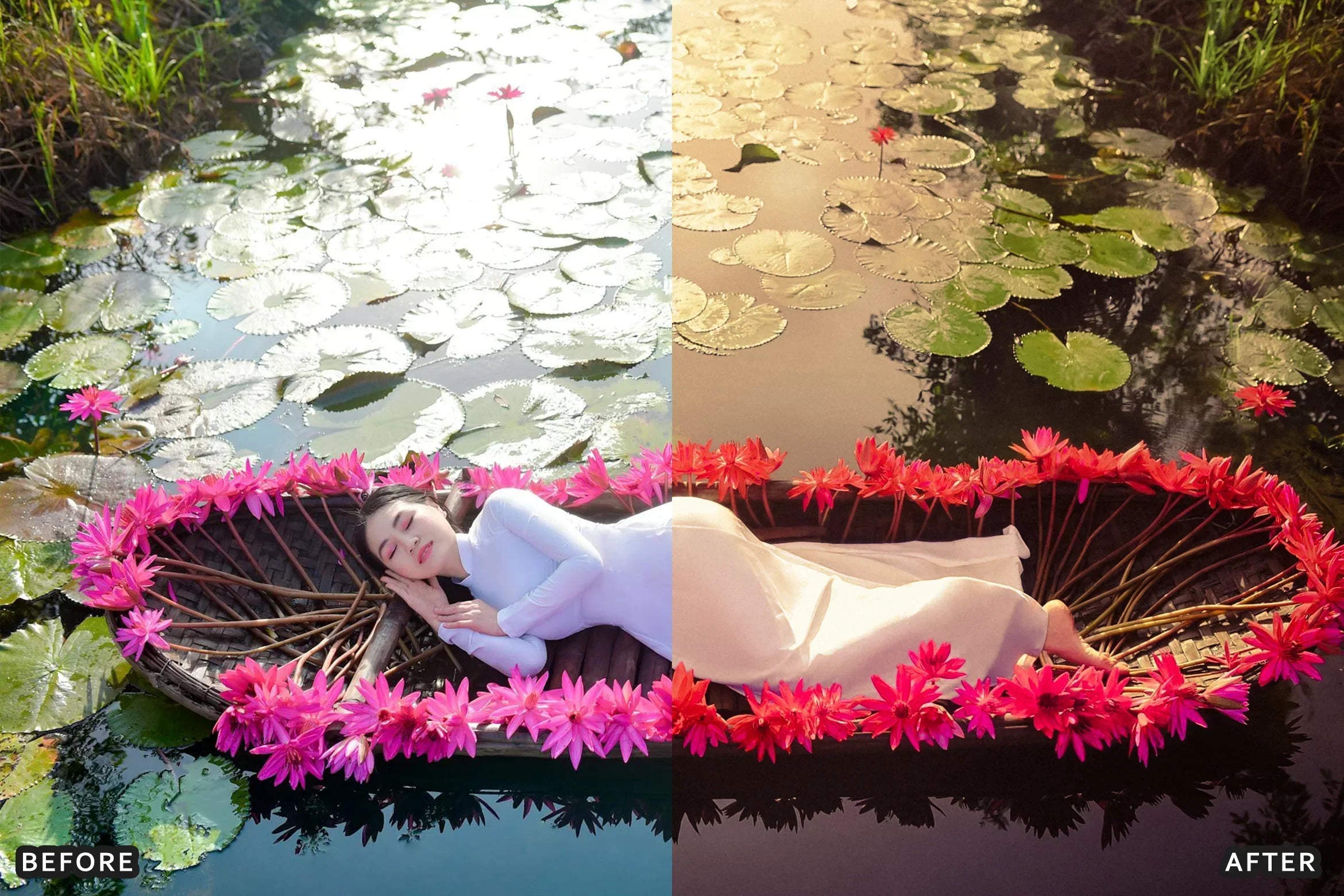 AI-Optimized Deep Green Cinematic Lightroom Presets - Lightroom Presets - by AAA Presets