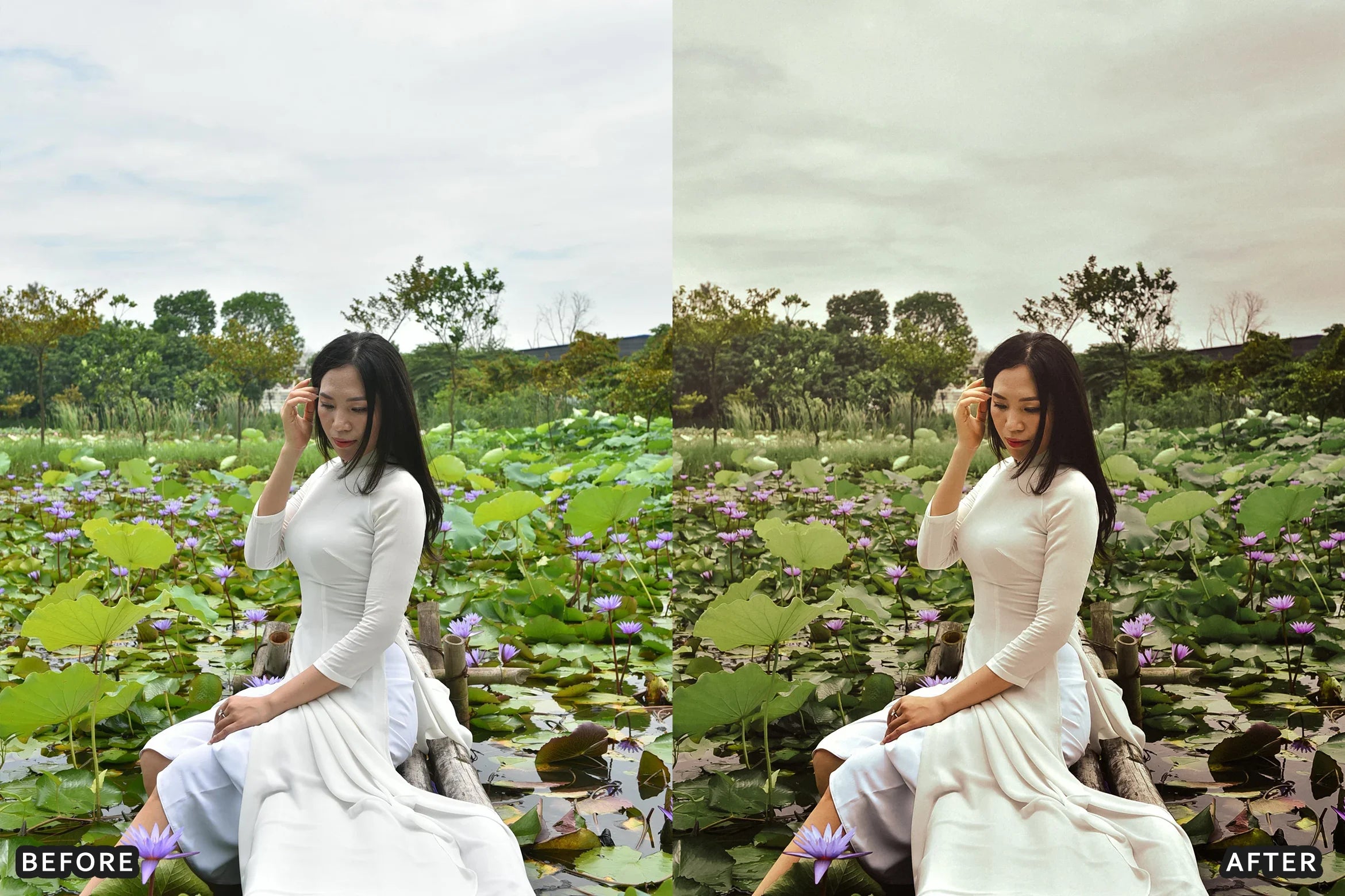 AI-Optimized Deep Green Cinematic Lightroom Presets - Lightroom Presets - by AAA Presets