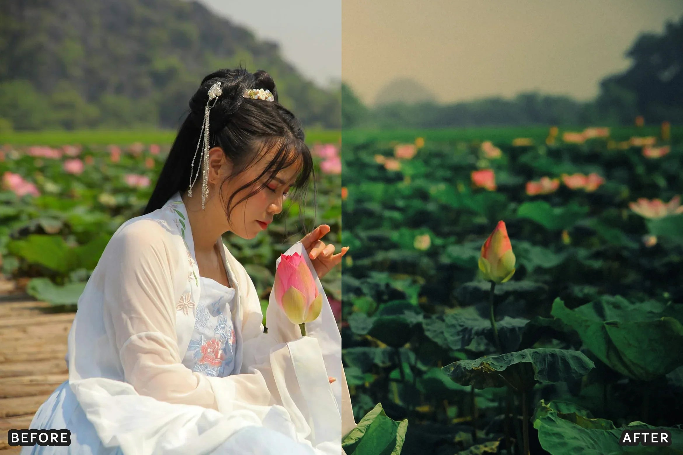 AI-Optimized Deep Green Cinematic Lightroom Presets - Lightroom Presets - by AAA Presets