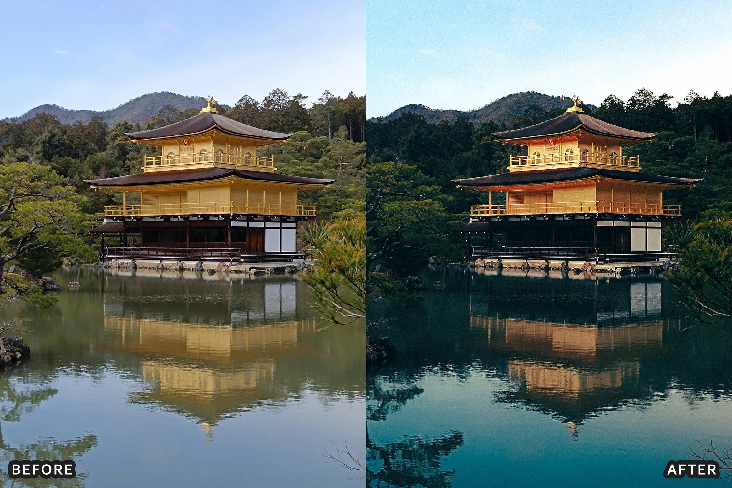 AI-Optimized Deep Jungle Tones Lightroom Presets - Lightroom Presets - by AAA Presets