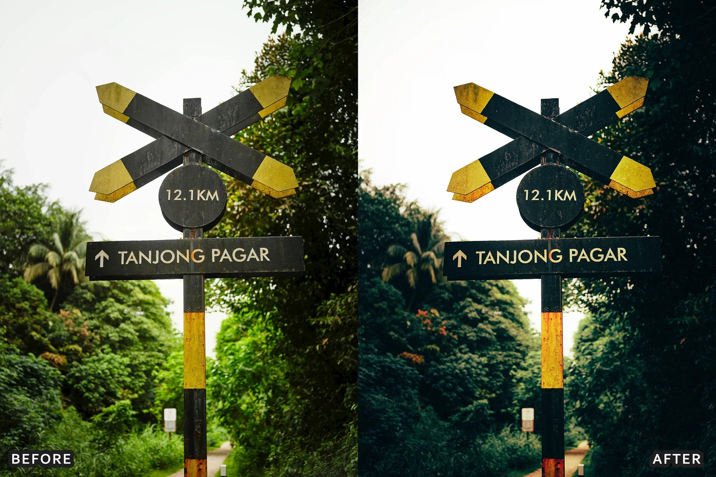 AI-Optimized Deep Jungle Tones Lightroom Presets - Lightroom Presets - by AAA Presets