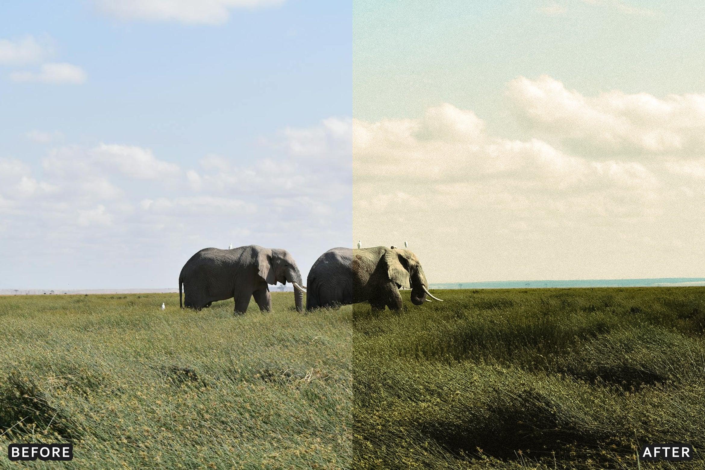 AI-Optimized Deep Jungle Tones Lightroom Presets - Lightroom Presets - by AAA Presets