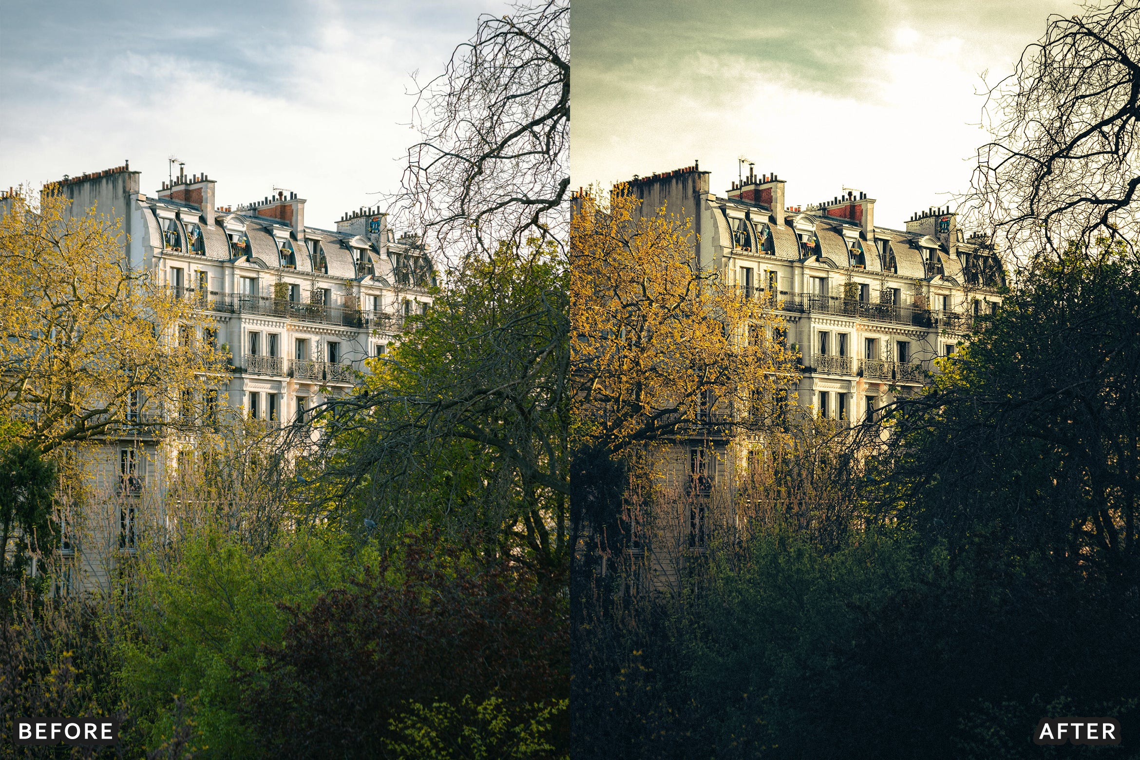 AI-Optimized Deep Jungle Tones Lightroom Presets - Lightroom Presets - by AAA Presets