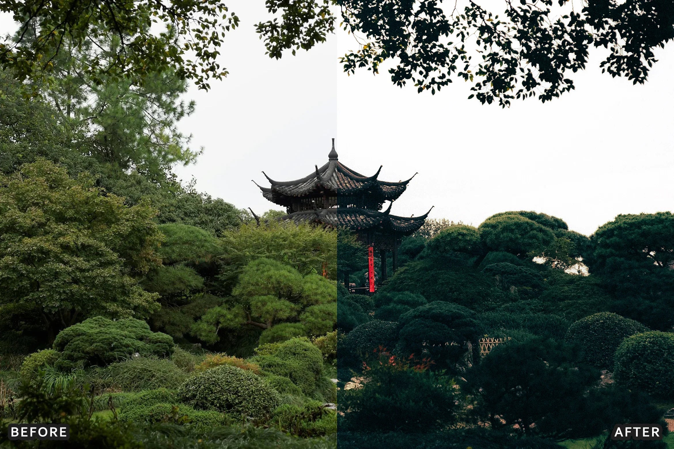 AI-Optimized Deep Jungle Tones Lightroom Presets - Lightroom Presets - by AAA Presets
