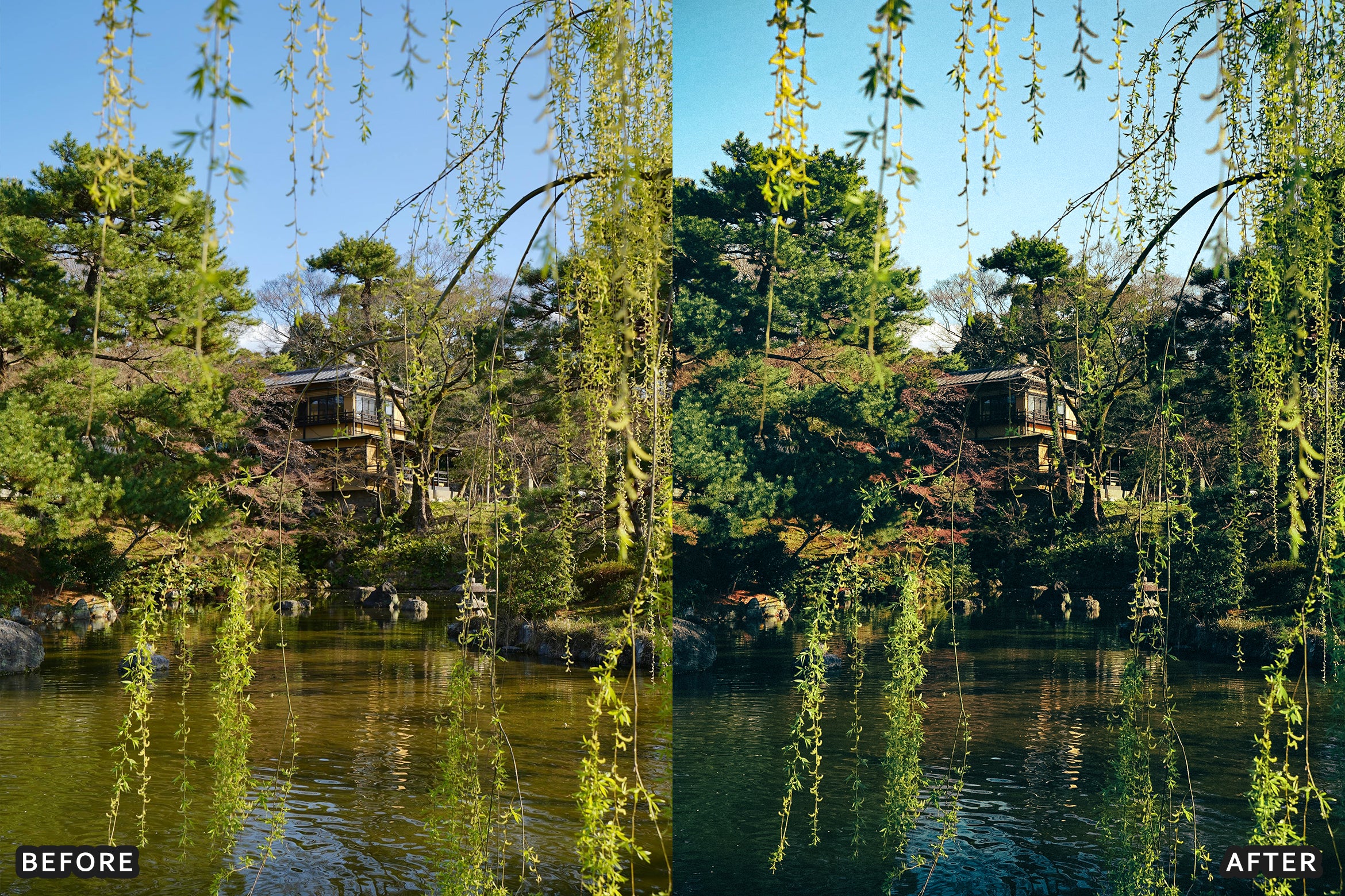 AI-Optimized Deep Jungle Tones Lightroom Presets - Lightroom Presets - by AAA Presets