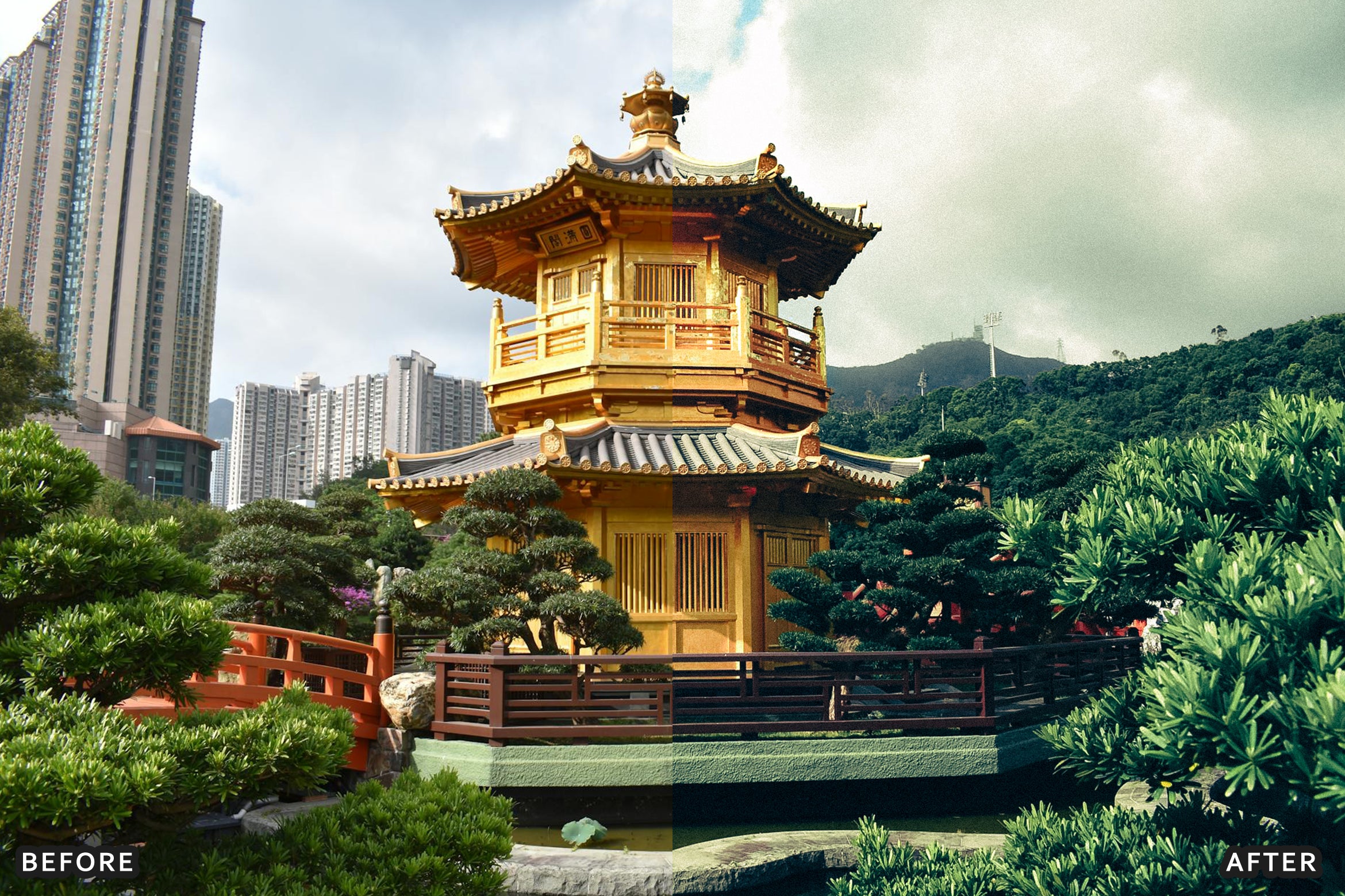 AI-Optimized Deep Jungle Tones Lightroom Presets - Lightroom Presets - by AAA Presets