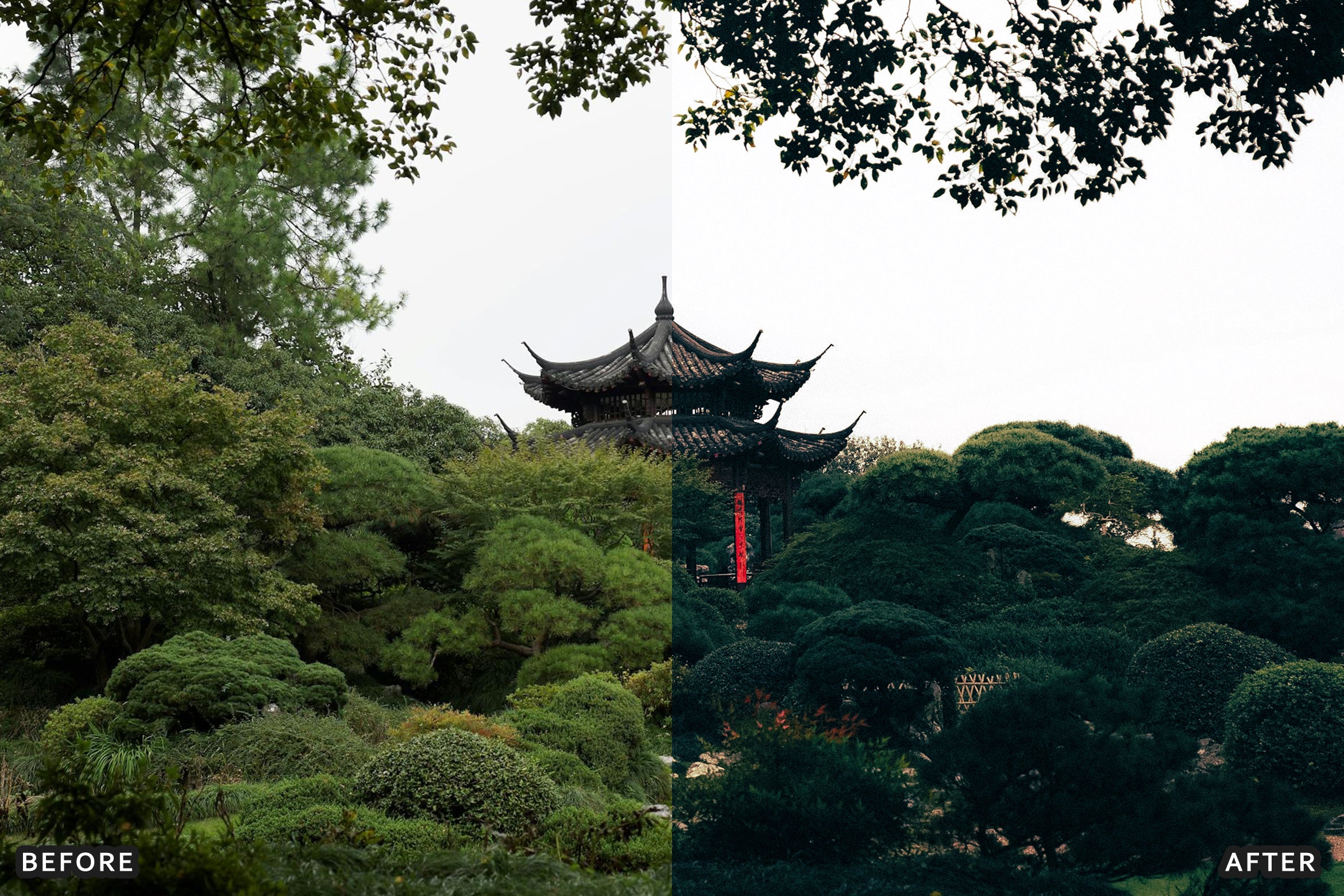 AI-Optimized Deep Jungle Tones Lightroom Presets - Lightroom Presets - by AAA Presets