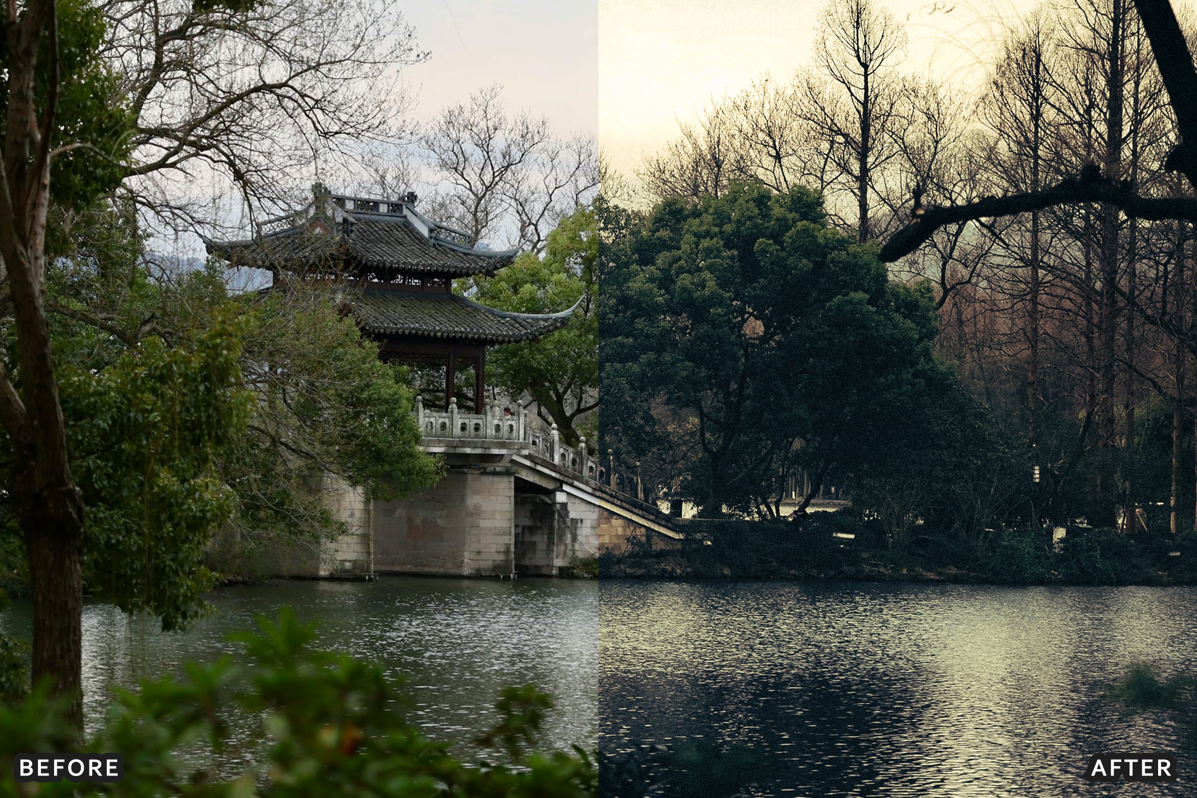 AI-Optimized Deep Jungle Tones Lightroom Presets - Lightroom Presets - by AAA Presets