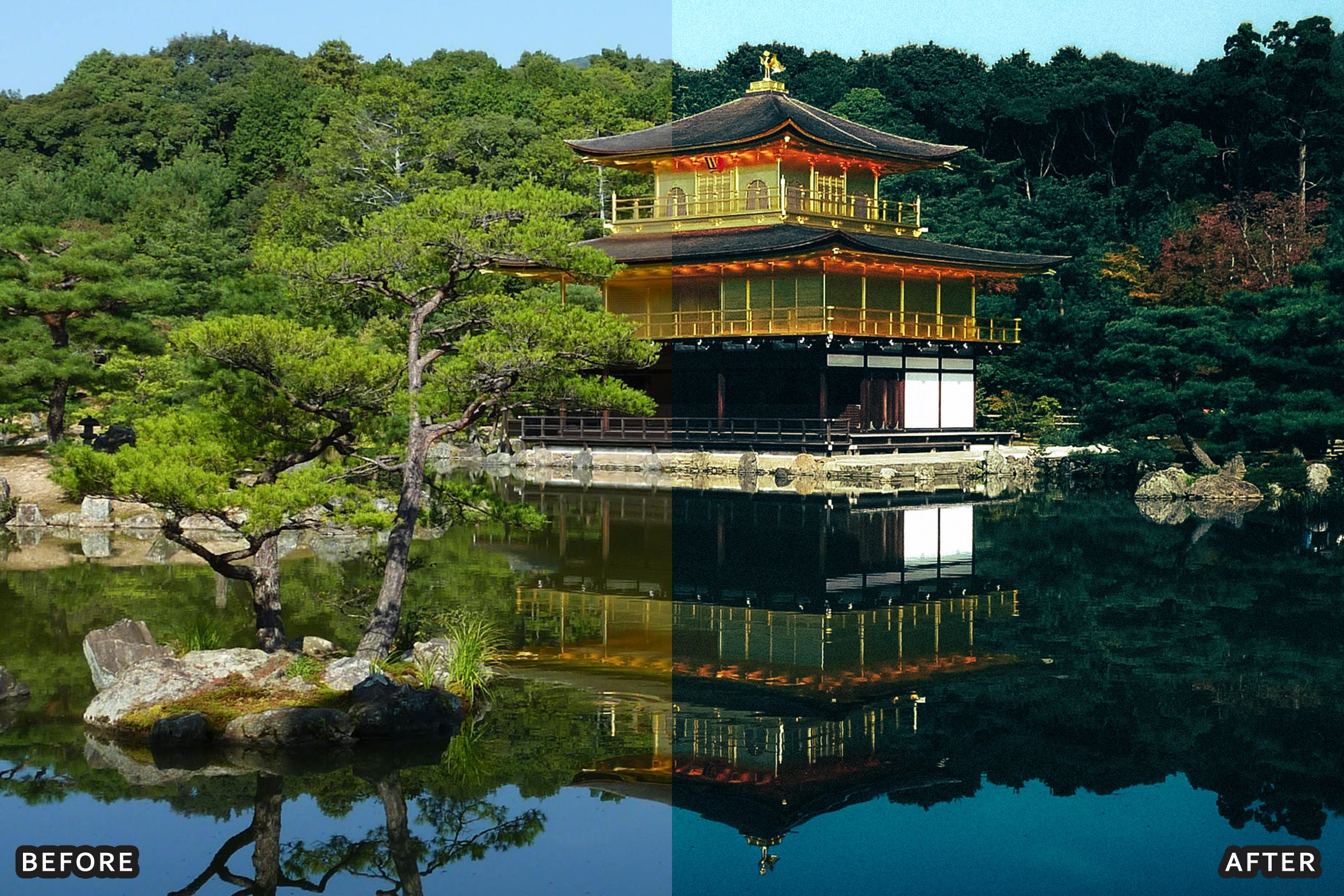 AI-Optimized Deep Jungle Tones Lightroom Presets - Lightroom Presets - by AAA Presets