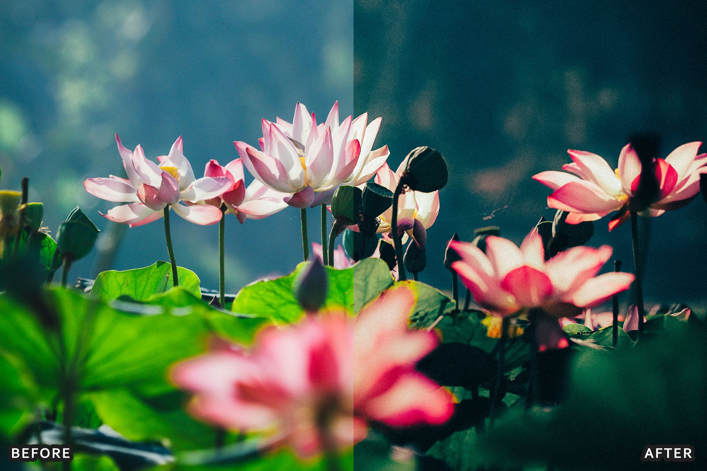 AI-Optimized Deep Jungle Tones Lightroom Presets - Lightroom Presets - by AAA Presets