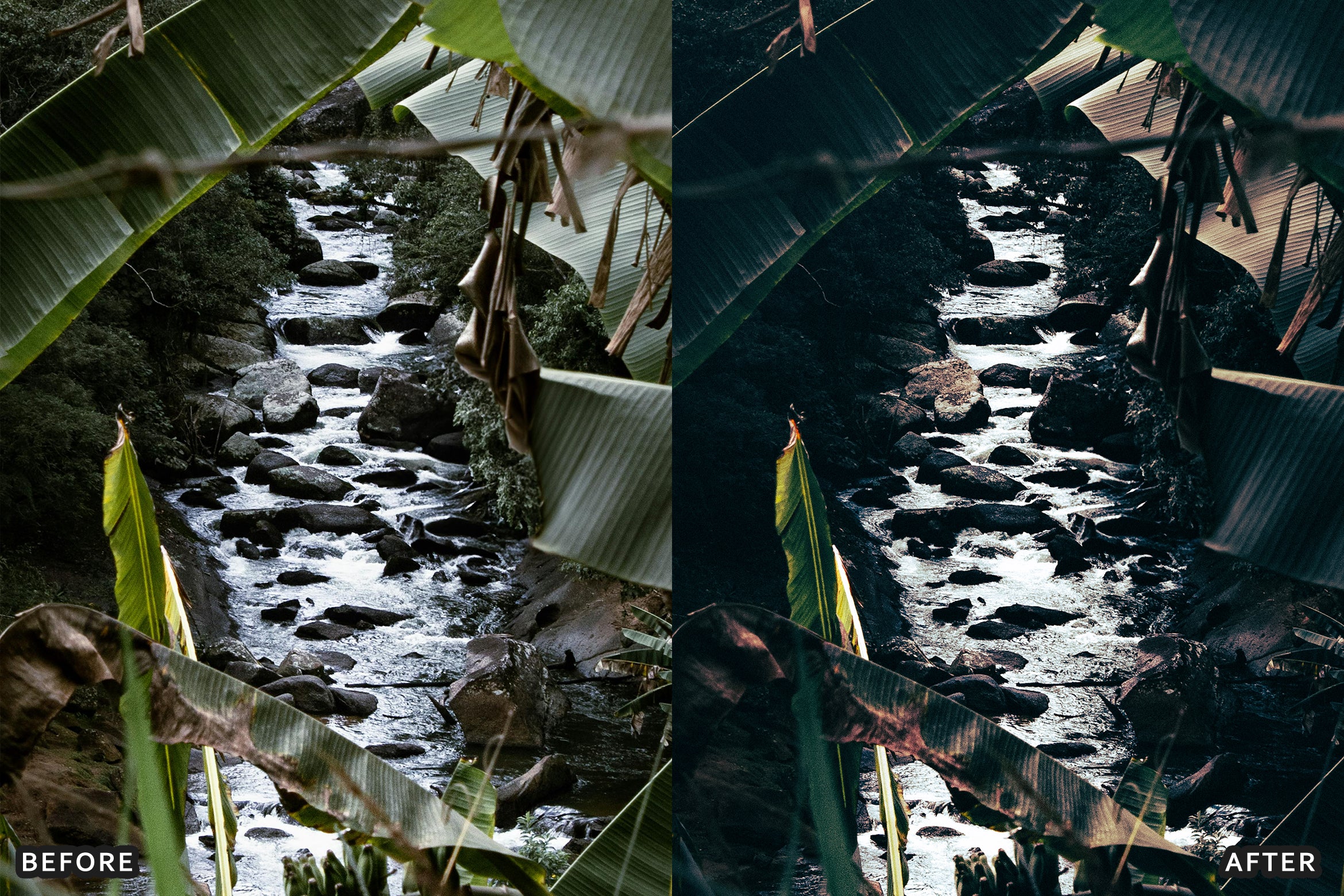 AI-Optimized Deep Jungle Tones Lightroom Presets - Lightroom Presets - by AAA Presets