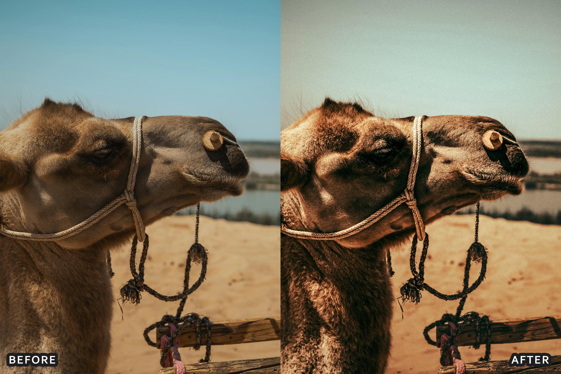 AI-Optimized Desert Lightroom Presets - Lightroom Presets - by AAA Presets