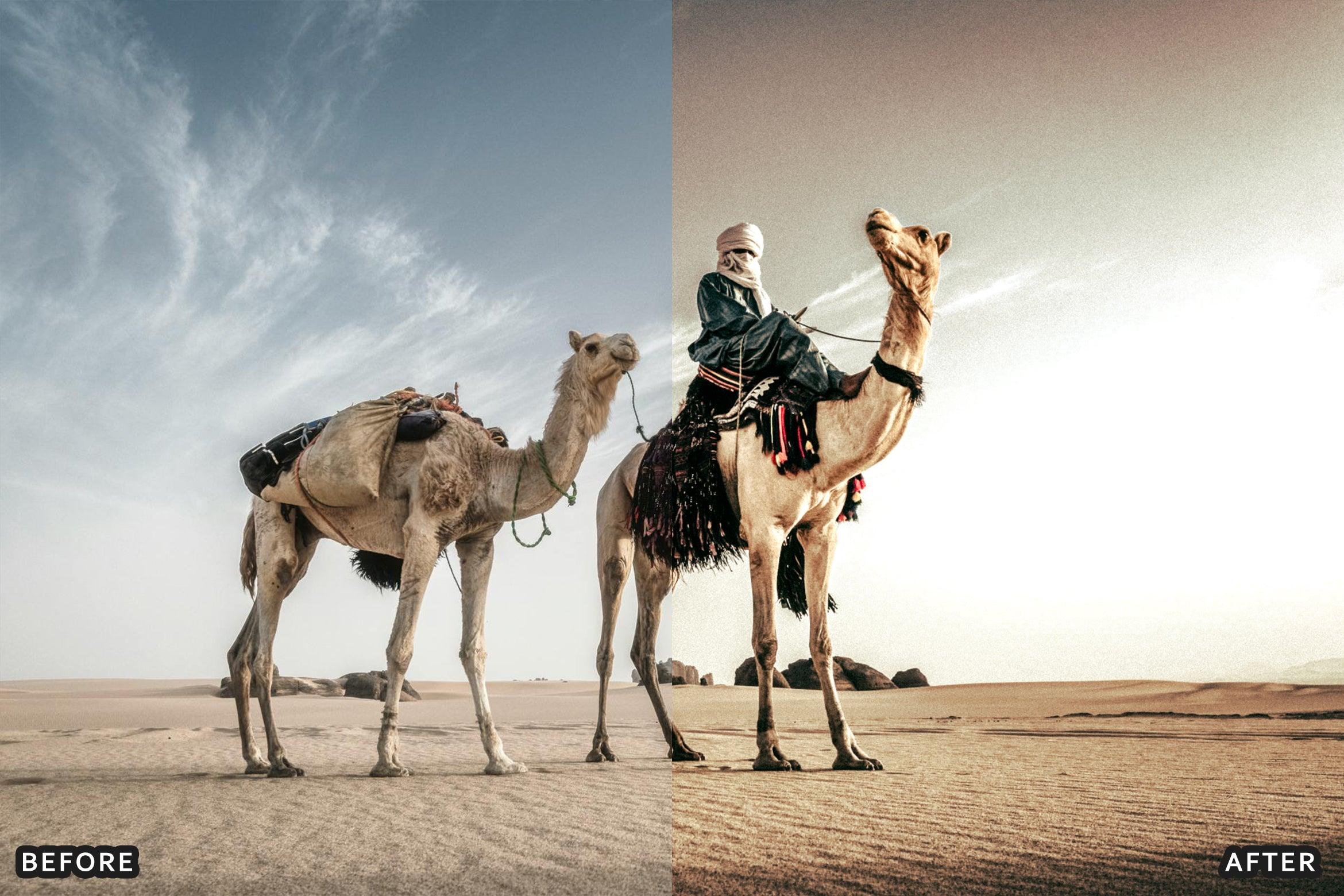 AI-Optimized Desert Lightroom Presets - Lightroom Presets - by AAA Presets