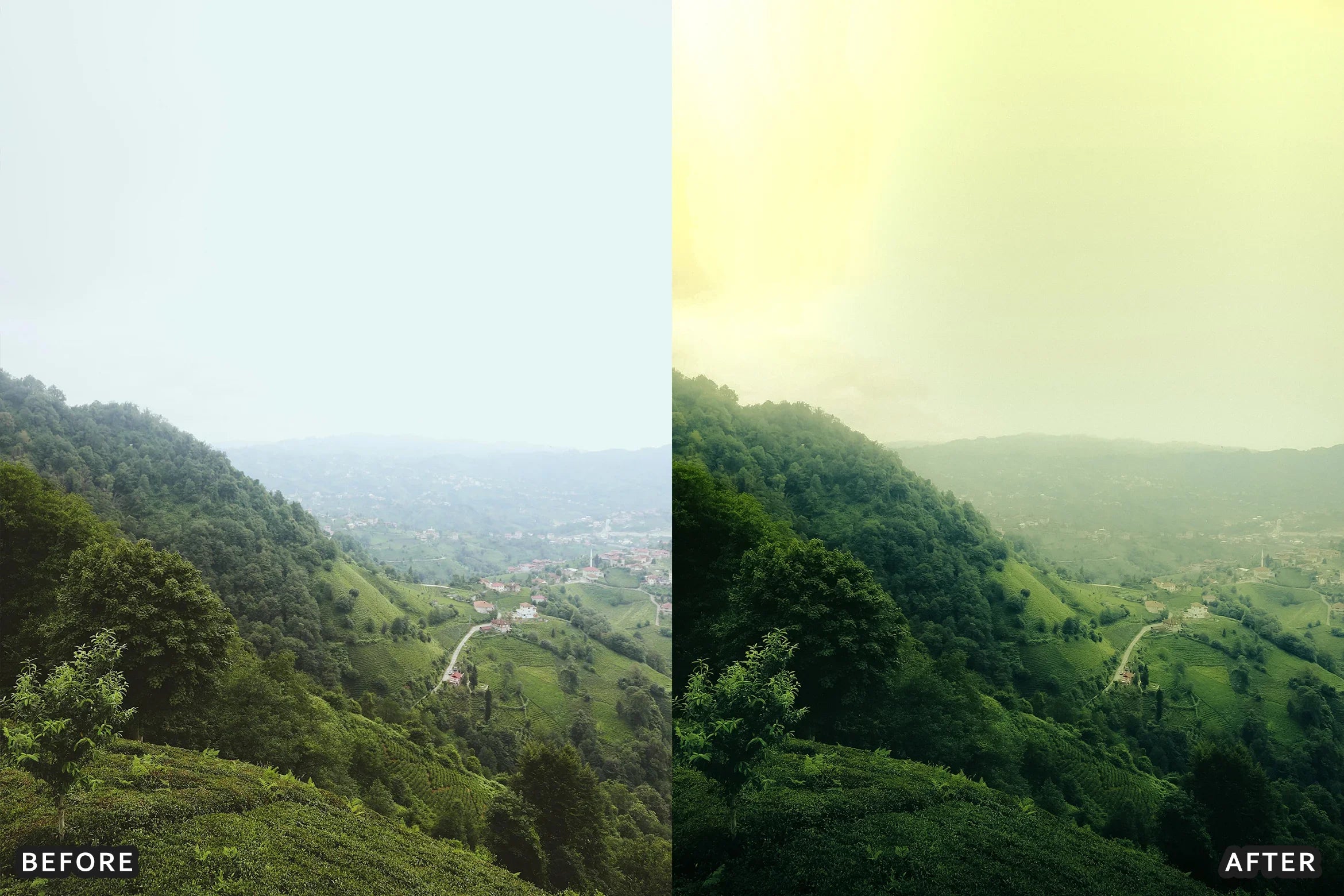 AI-Optimized Foggy Morning Lightroom Presets - Lightroom Presets - by AAA Presets
