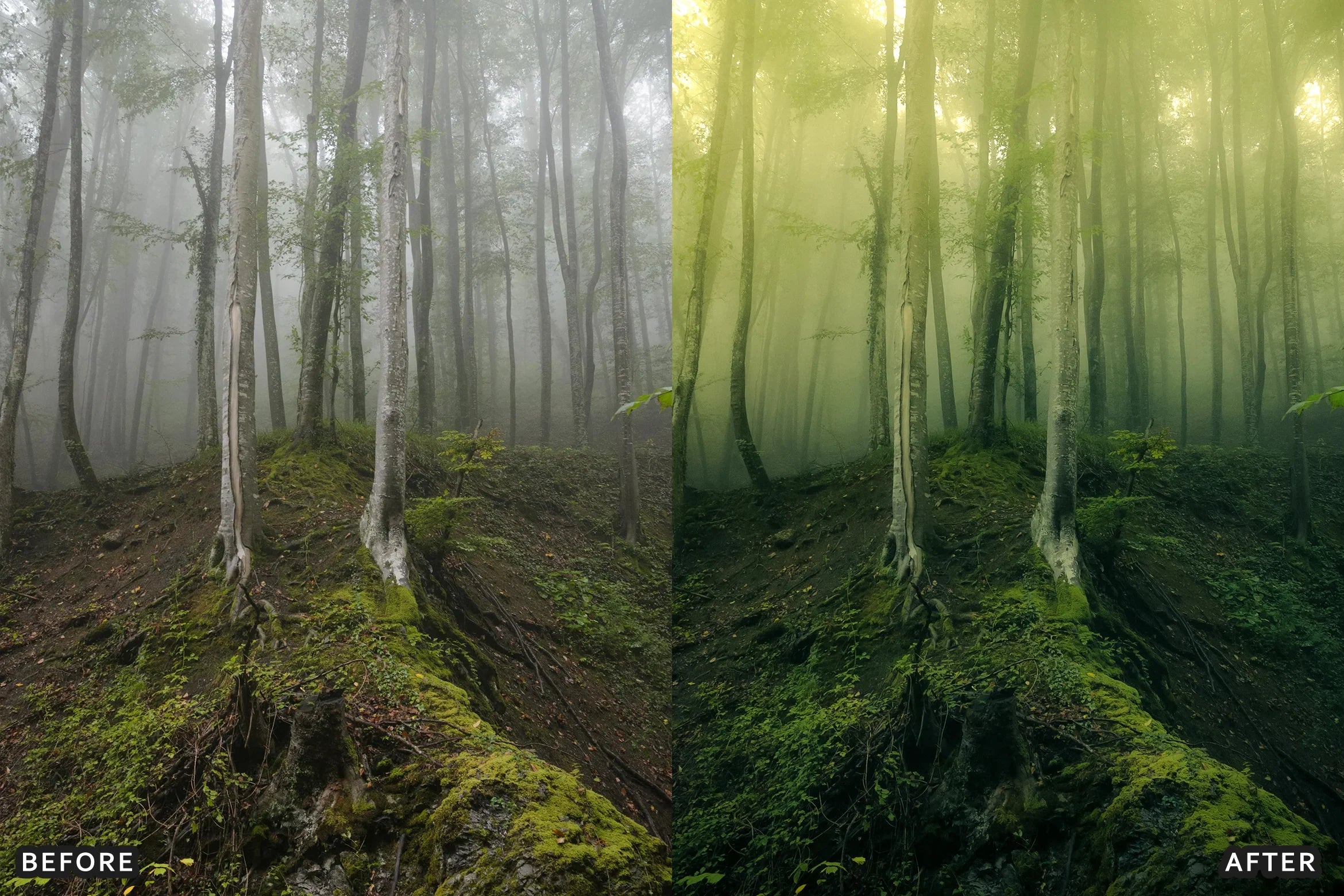 AI-Optimized Foggy Morning Lightroom Presets - Lightroom Presets - by AAA Presets