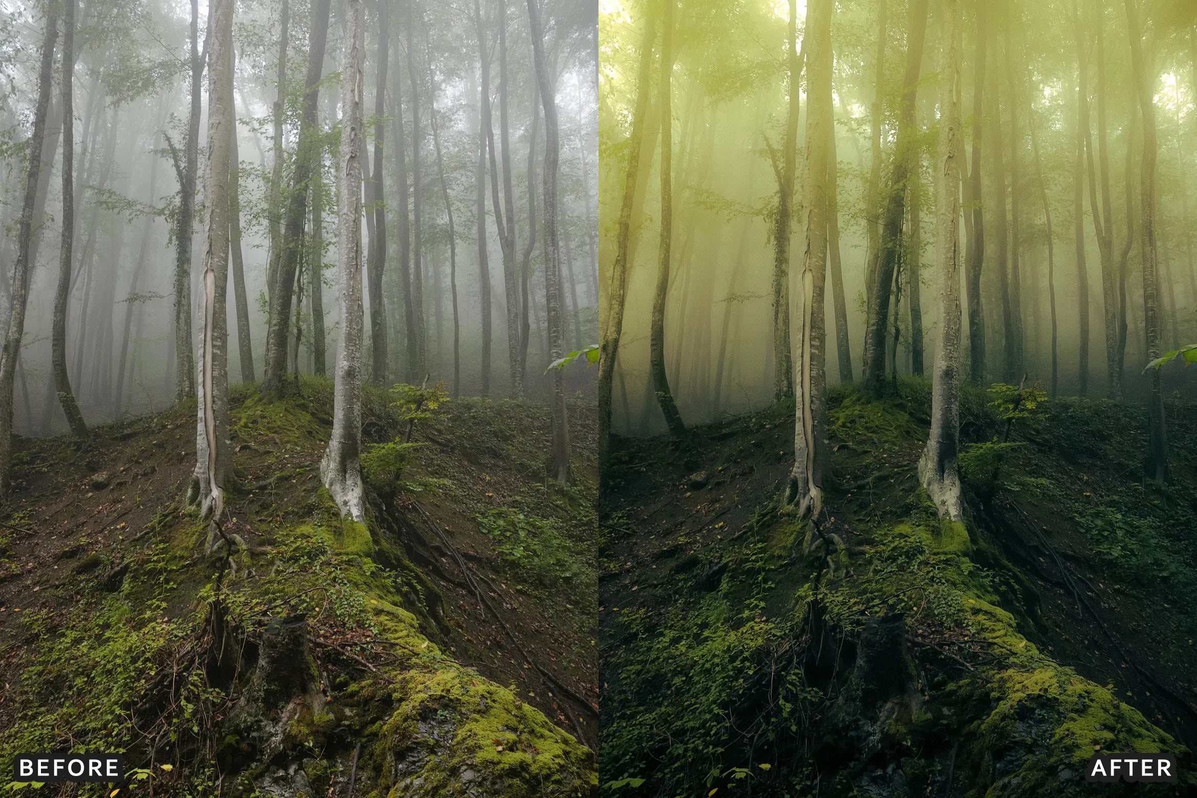 AI-Optimized Foggy Morning Lightroom Presets - Lightroom Presets - by AAA Presets