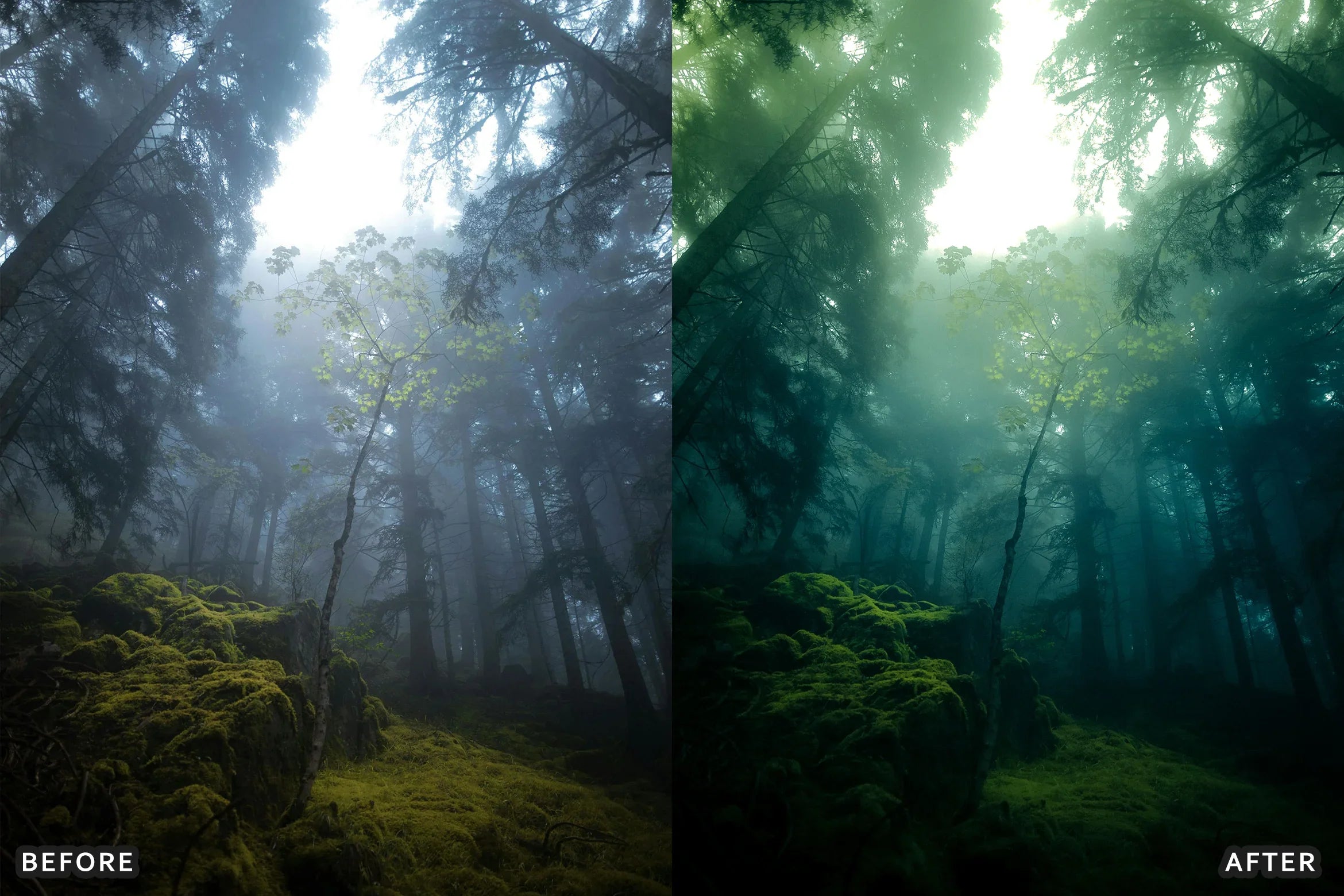 AI-Optimized Foggy Morning Lightroom Presets - Lightroom Presets - by AAA Presets