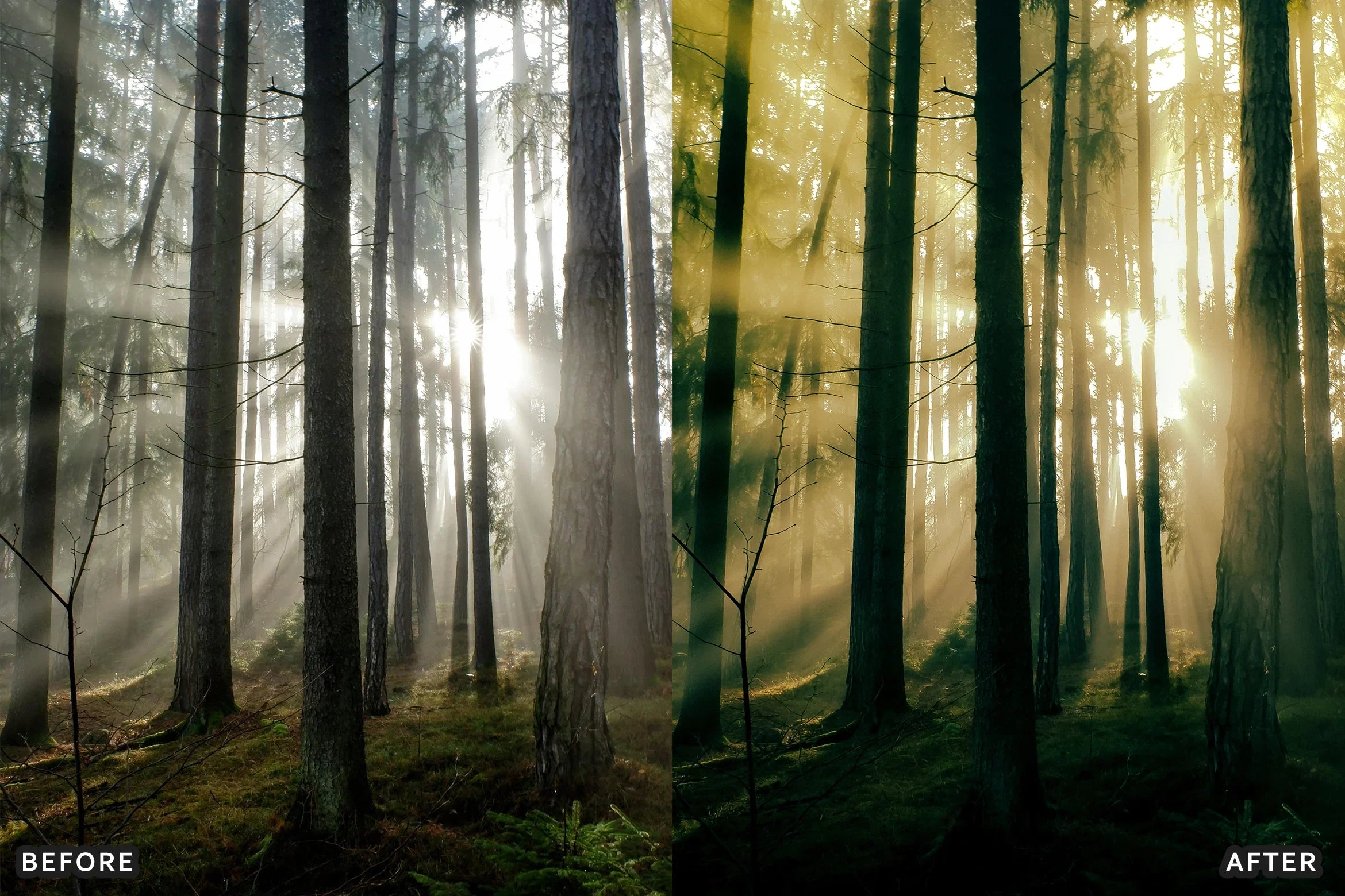AI-Optimized Foggy Morning Lightroom Presets - Lightroom Presets - by AAA Presets