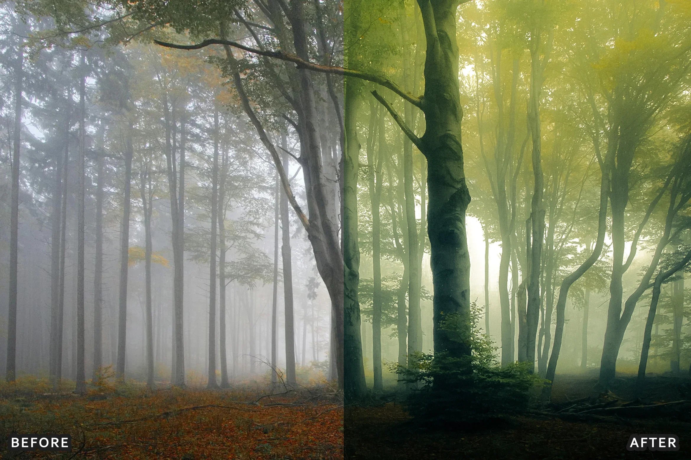 AI-Optimized Foggy Morning Lightroom Presets - Lightroom Presets - by AAA Presets