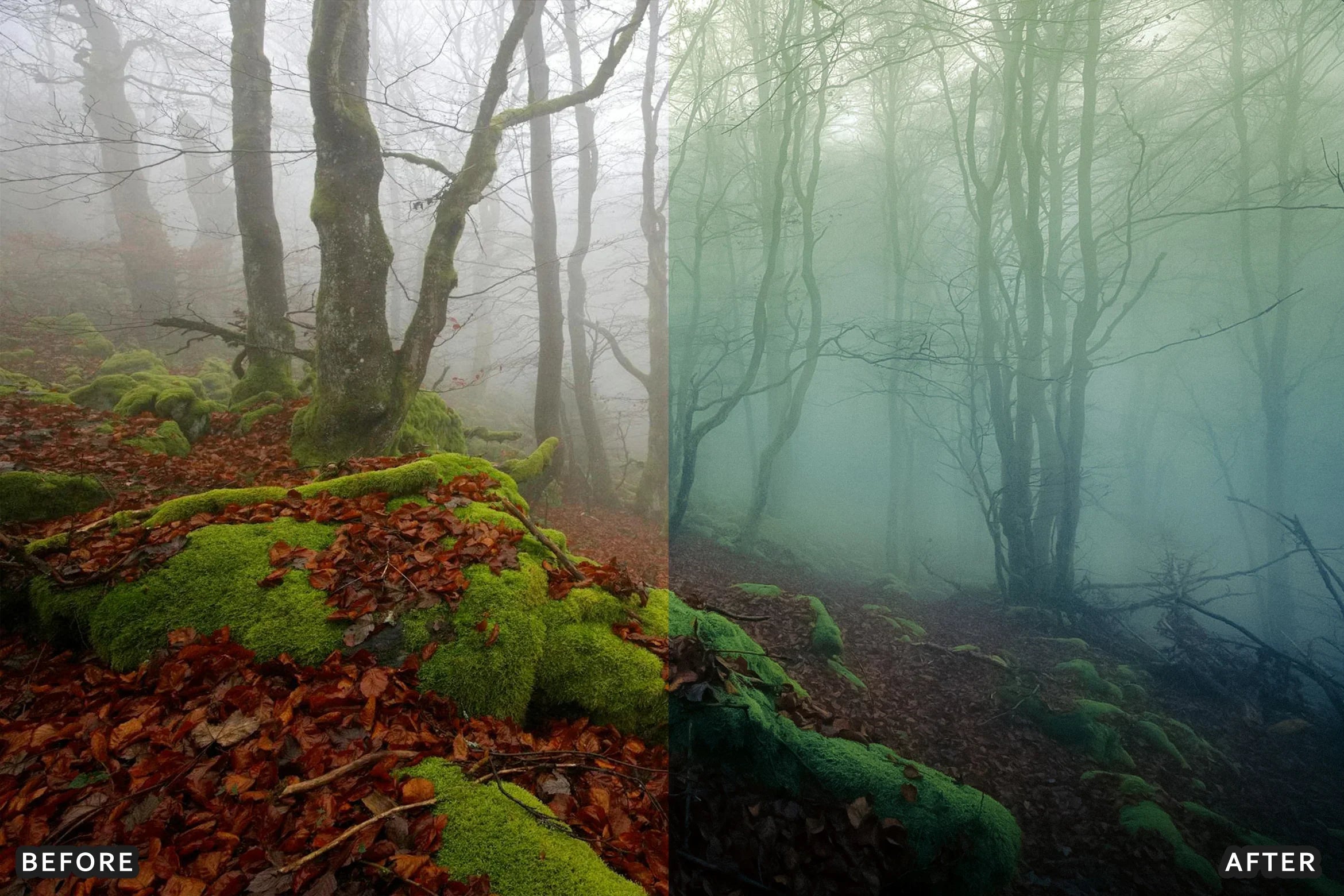 AI-Optimized Foggy Morning Lightroom Presets - Lightroom Presets - by AAA Presets