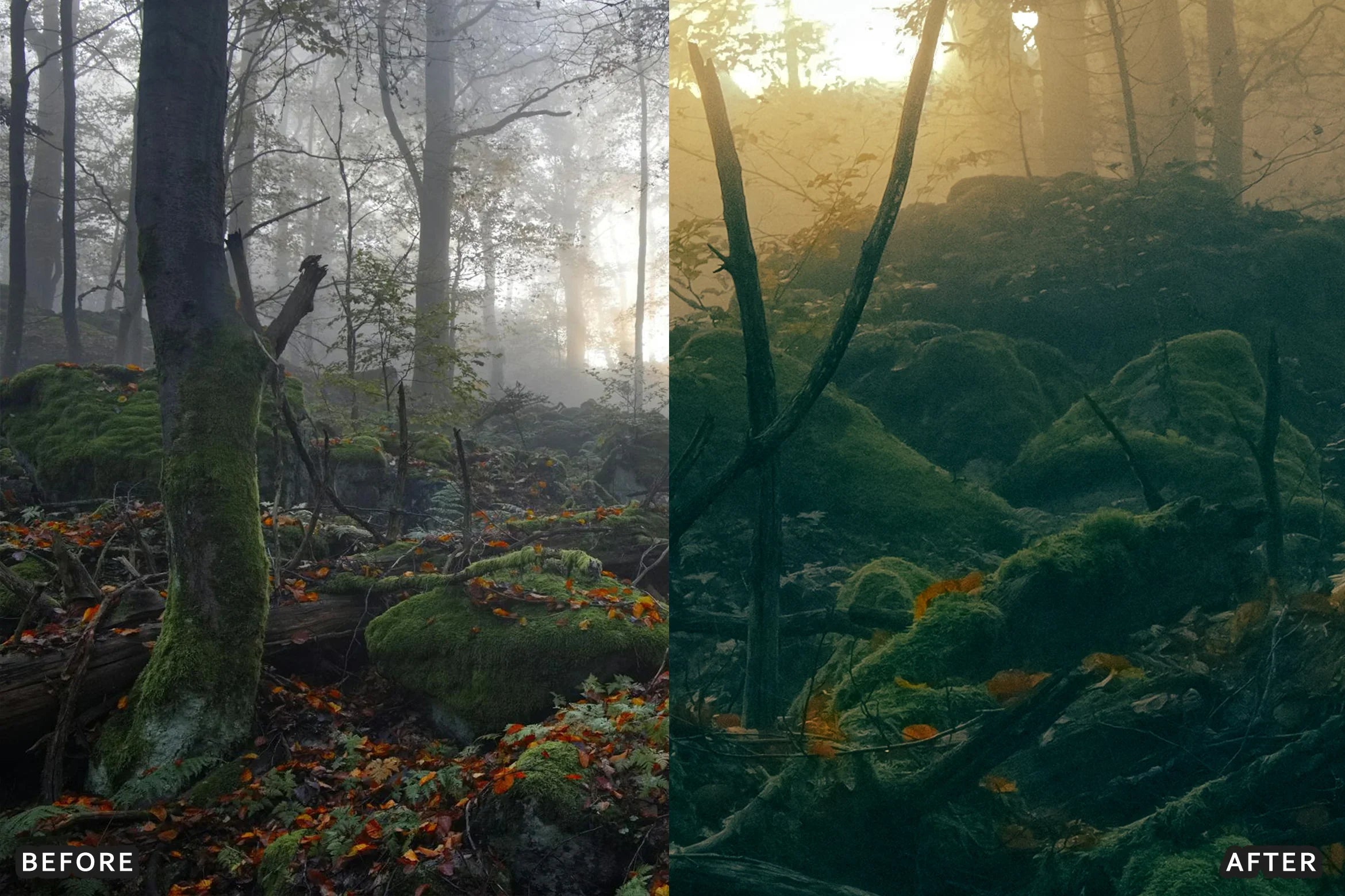 AI-Optimized Foggy Morning Lightroom Presets - Lightroom Presets - by AAA Presets