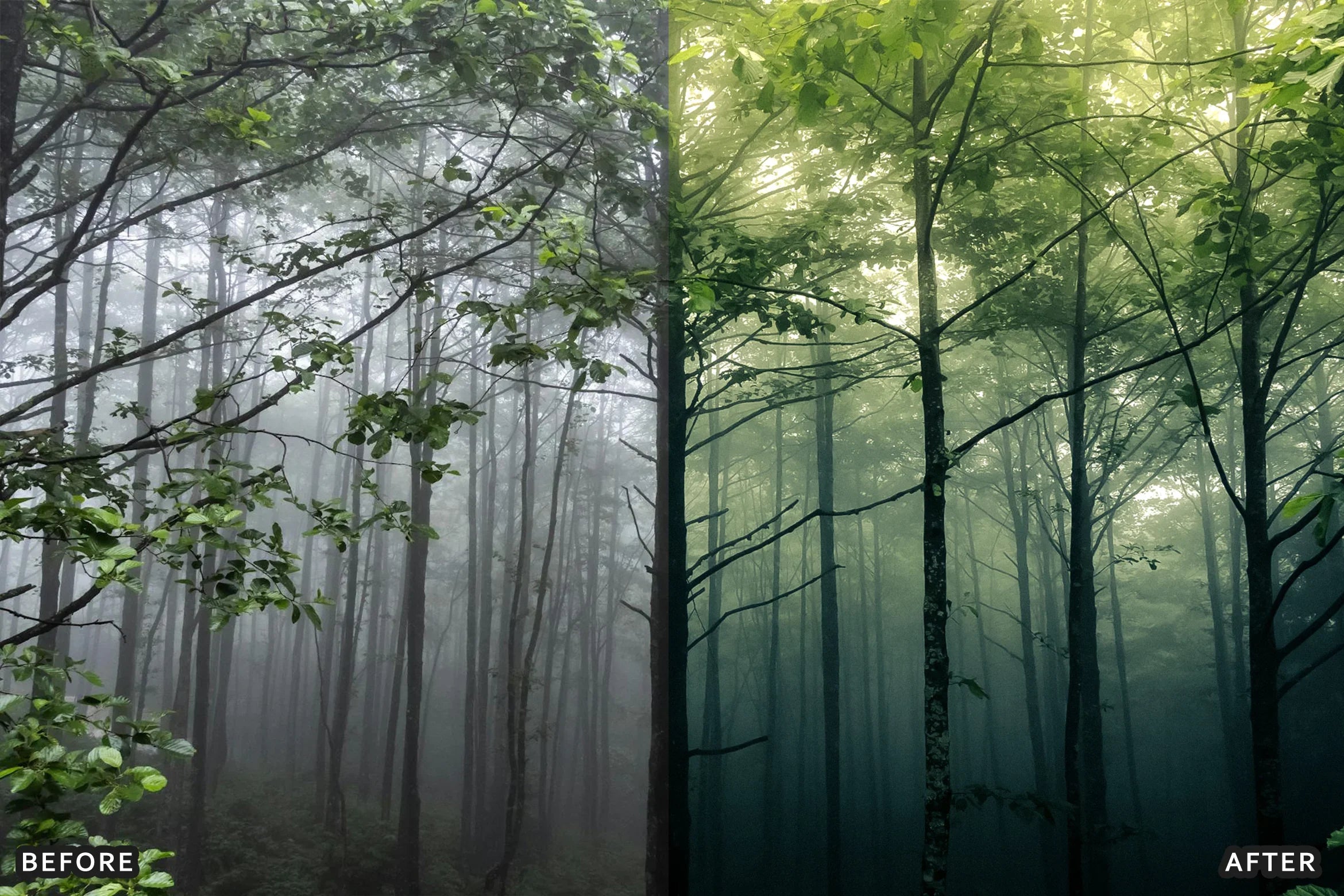 AI-Optimized Foggy Morning Lightroom Presets - Lightroom Presets - by AAA Presets