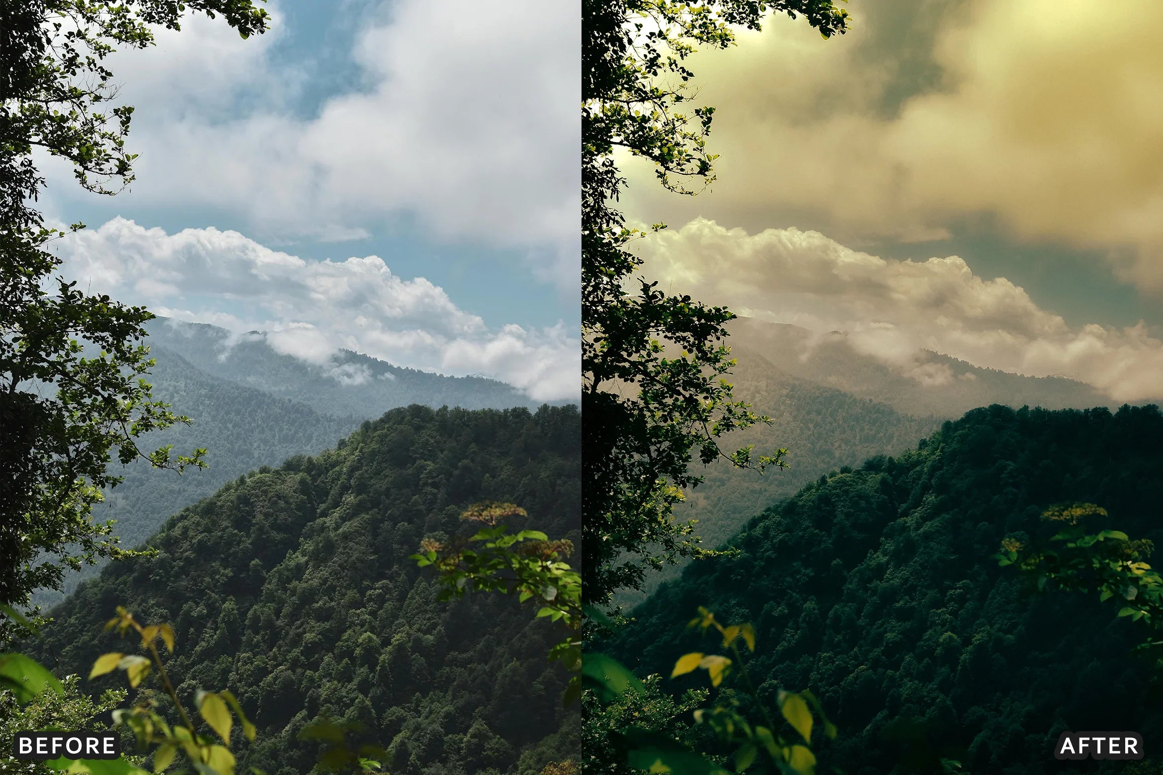 AI-Optimized Foggy Morning Lightroom Presets - Lightroom Presets - by AAA Presets