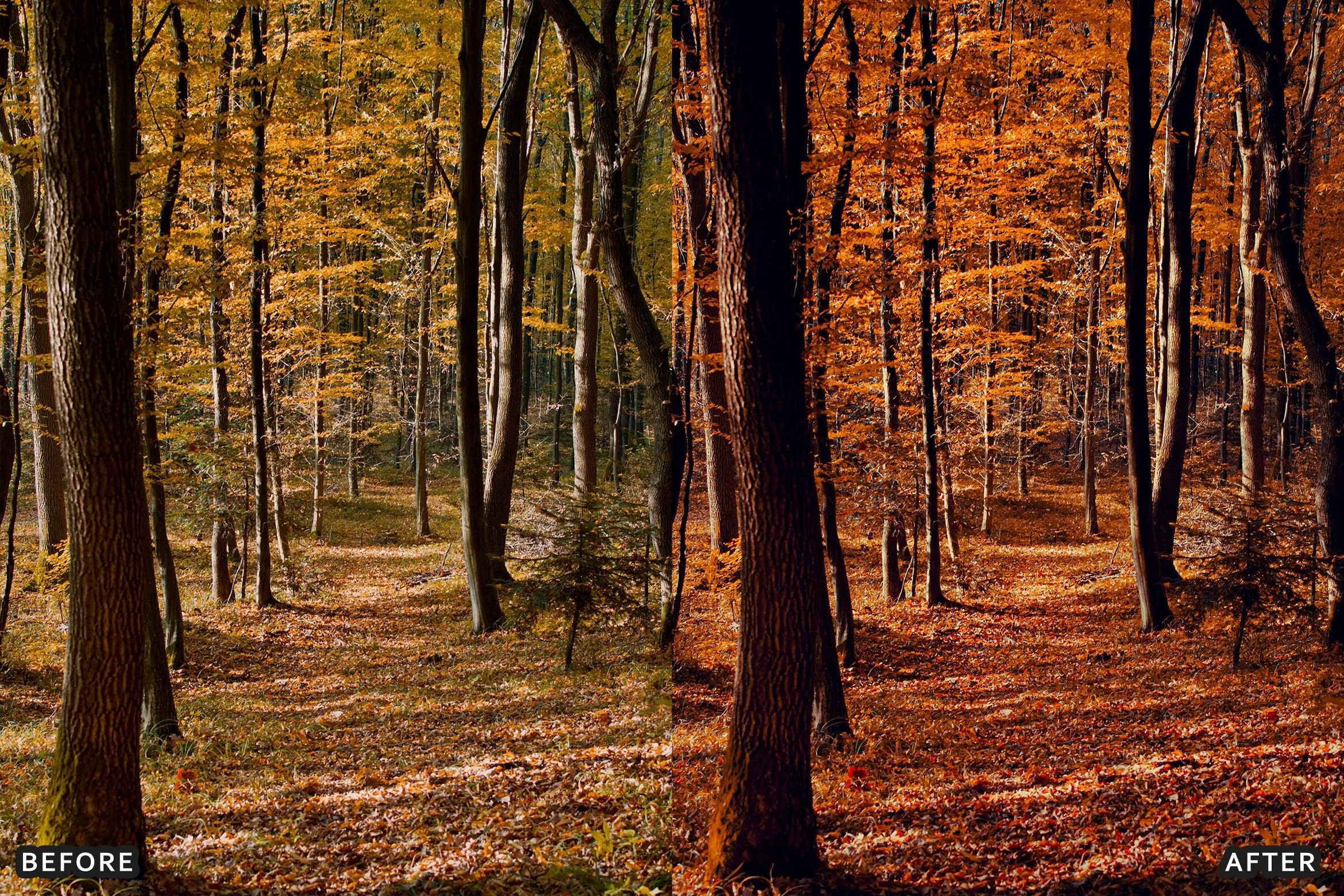 AI-Optimized Golden Fall Forest Lightroom Presets - Lightroom Presets - by AAA Presets