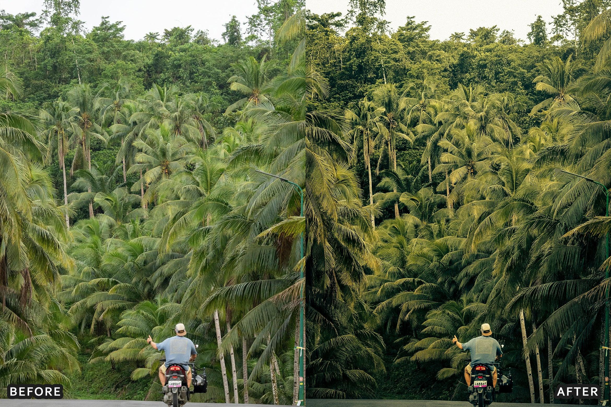 AI-Optimized Green Jungle Morning Cinematic Lightroom Presets