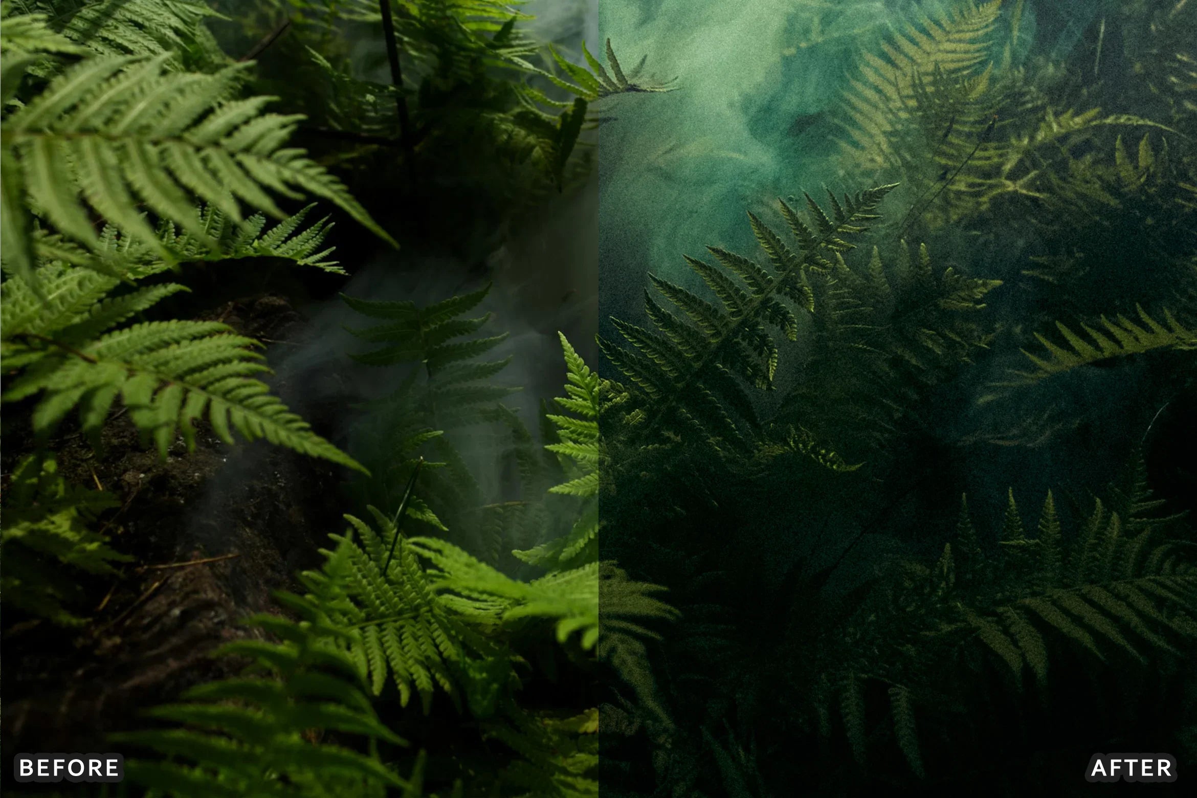 AI-Optimized Green Jungle Morning Cinematic Lightroom Presets