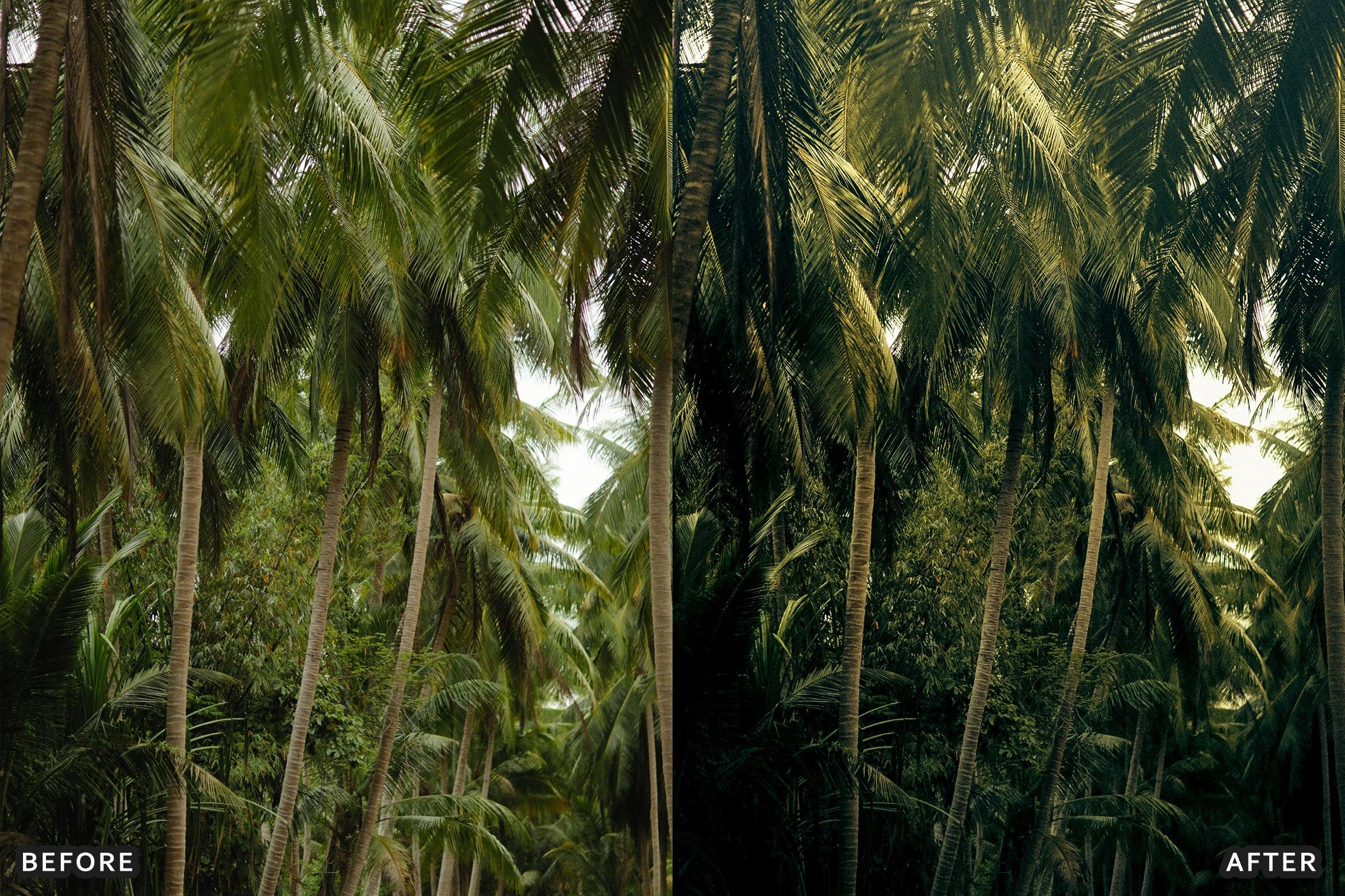 AI-Optimized Green Jungle Morning Cinematic Lightroom Presets