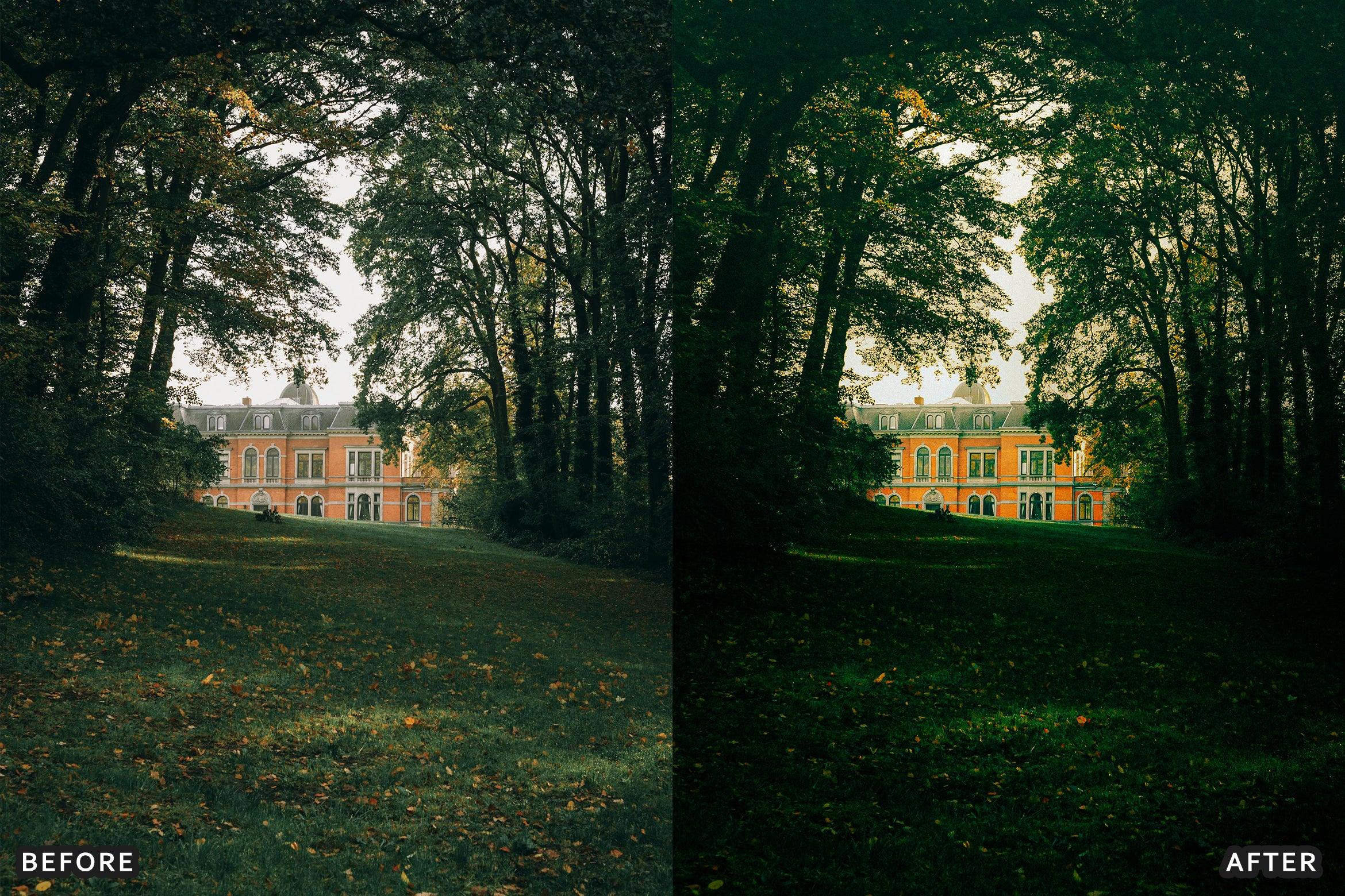 AI-Optimized Historic Travel Look Lightroom Presets - Lightroom Presets - by AAA Presets