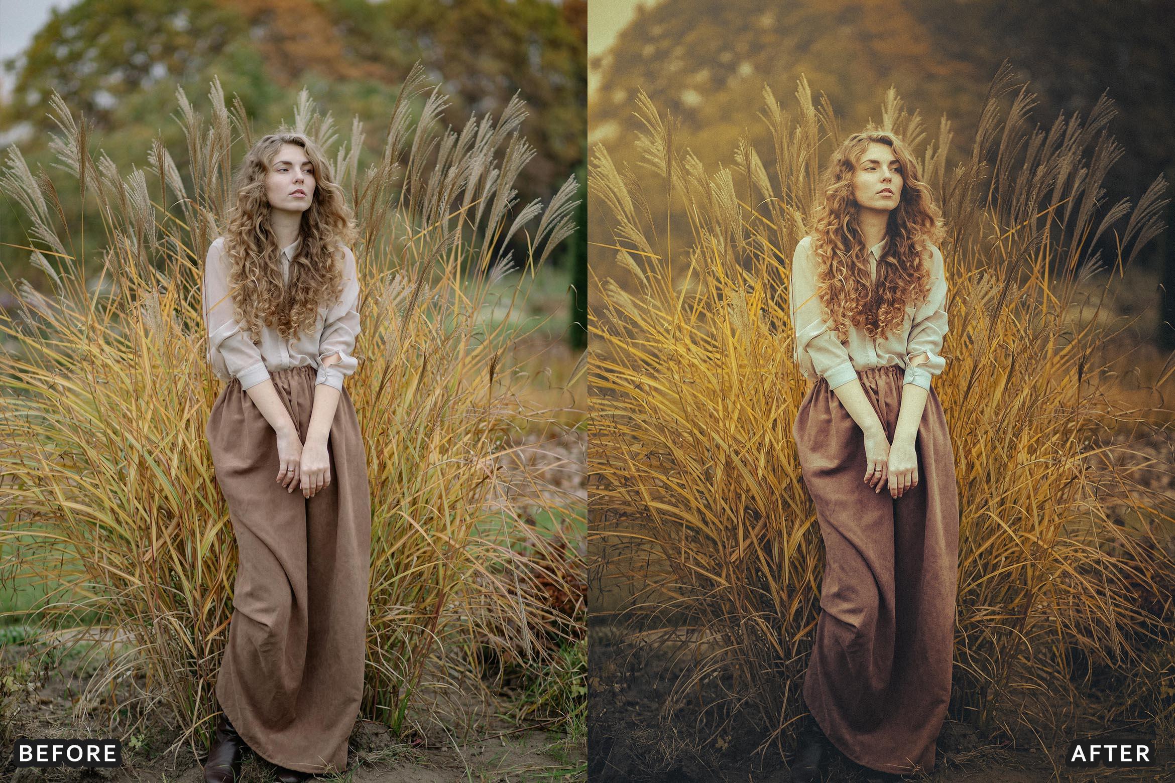 AI-Optimized Hollywood Tones Lightroom Presets - Lightroom Presets - by AAA Presets