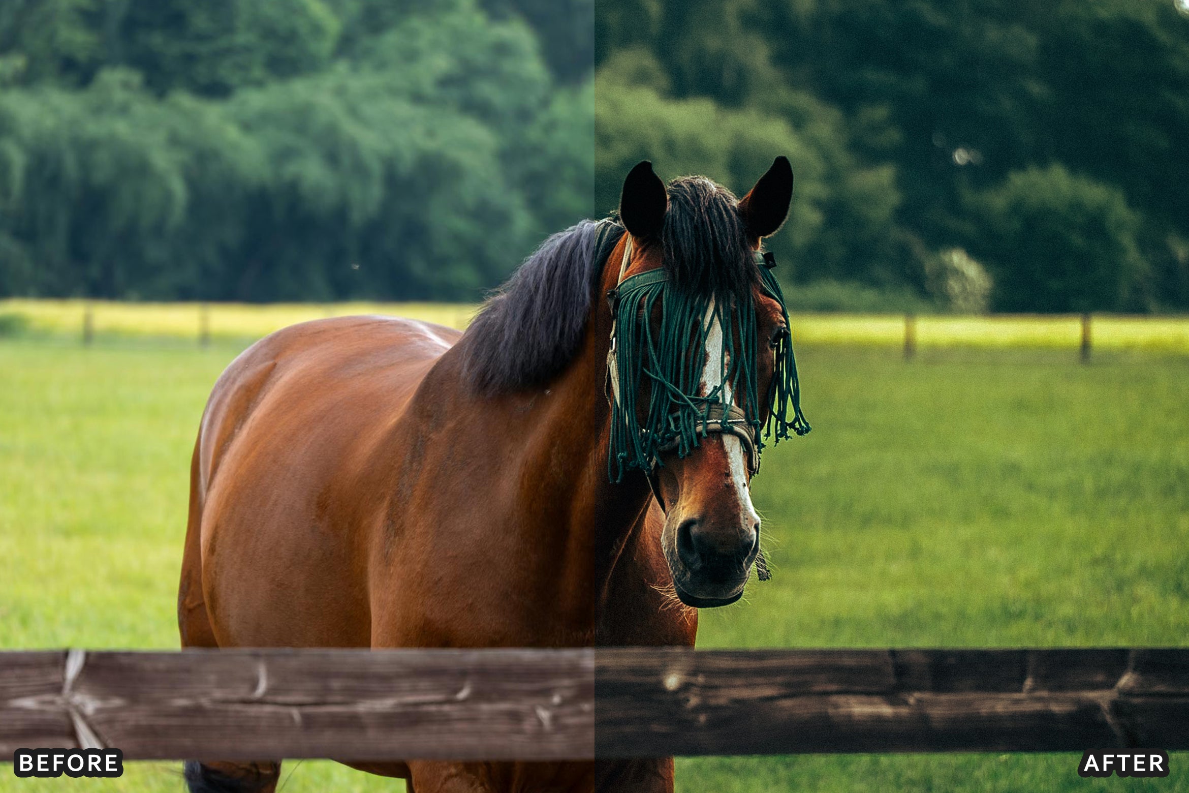 AI-Optimized Horse Ranch Lightroom Presets - Lightroom Presets - by AAA Presets