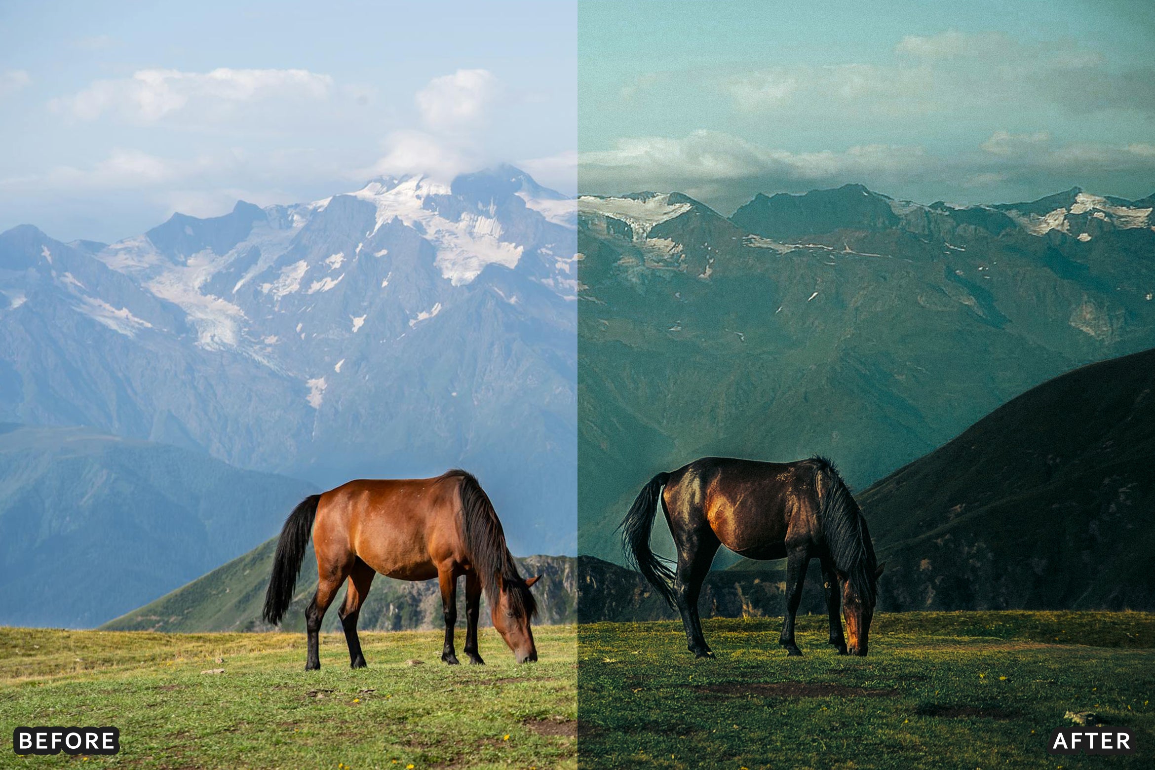 AI-Optimized Horse Ranch Lightroom Presets - Lightroom Presets - by AAA Presets