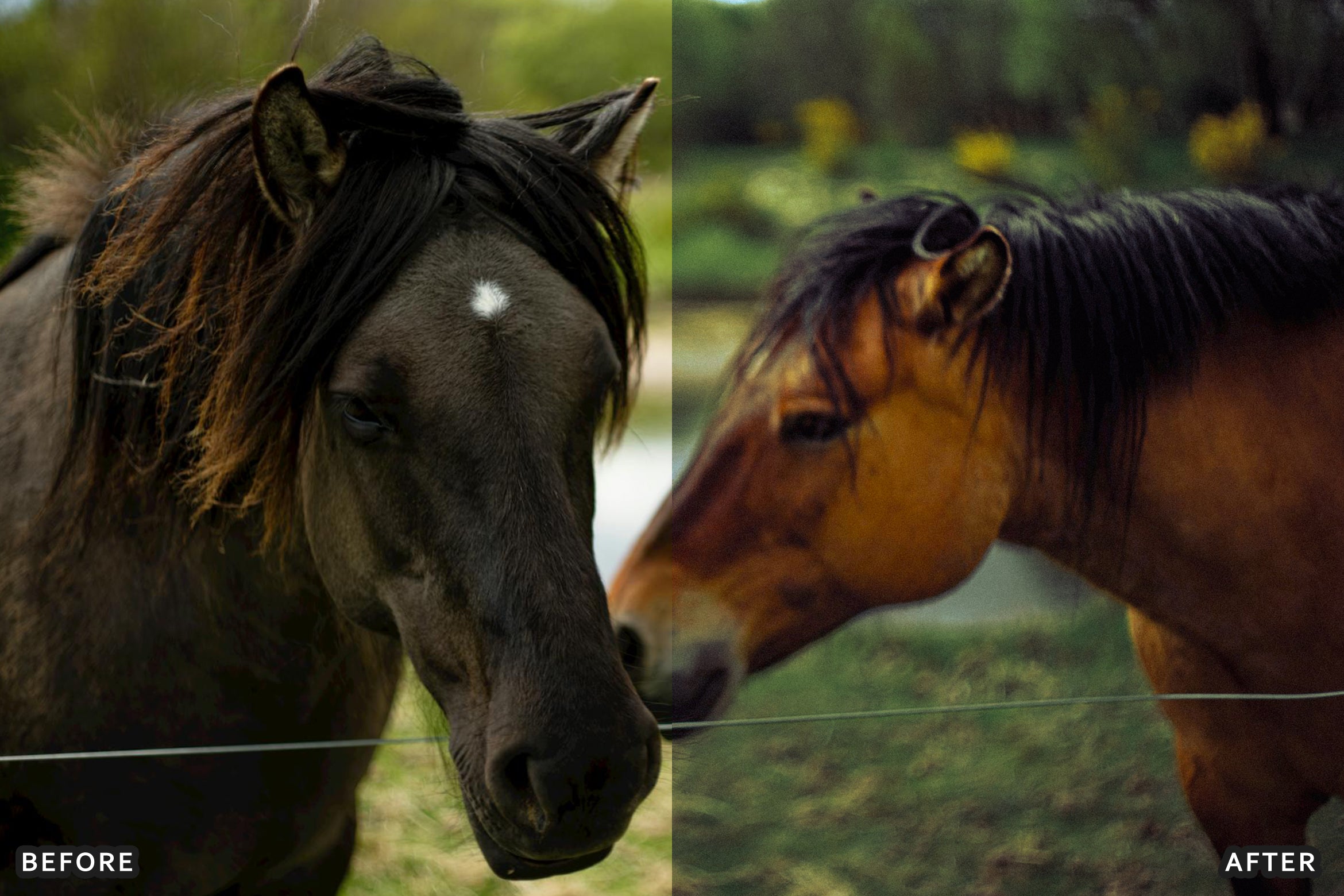 AI-Optimized Horse Ranch Lightroom Presets - Lightroom Presets - by AAA Presets