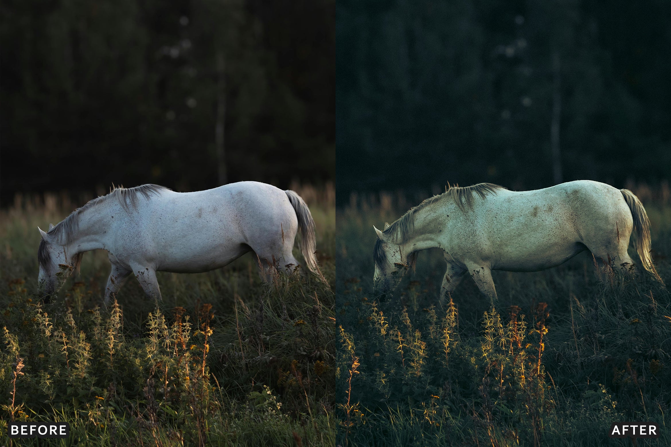 AI-Optimized Horse Ranch Lightroom Presets - Lightroom Presets - by AAA Presets
