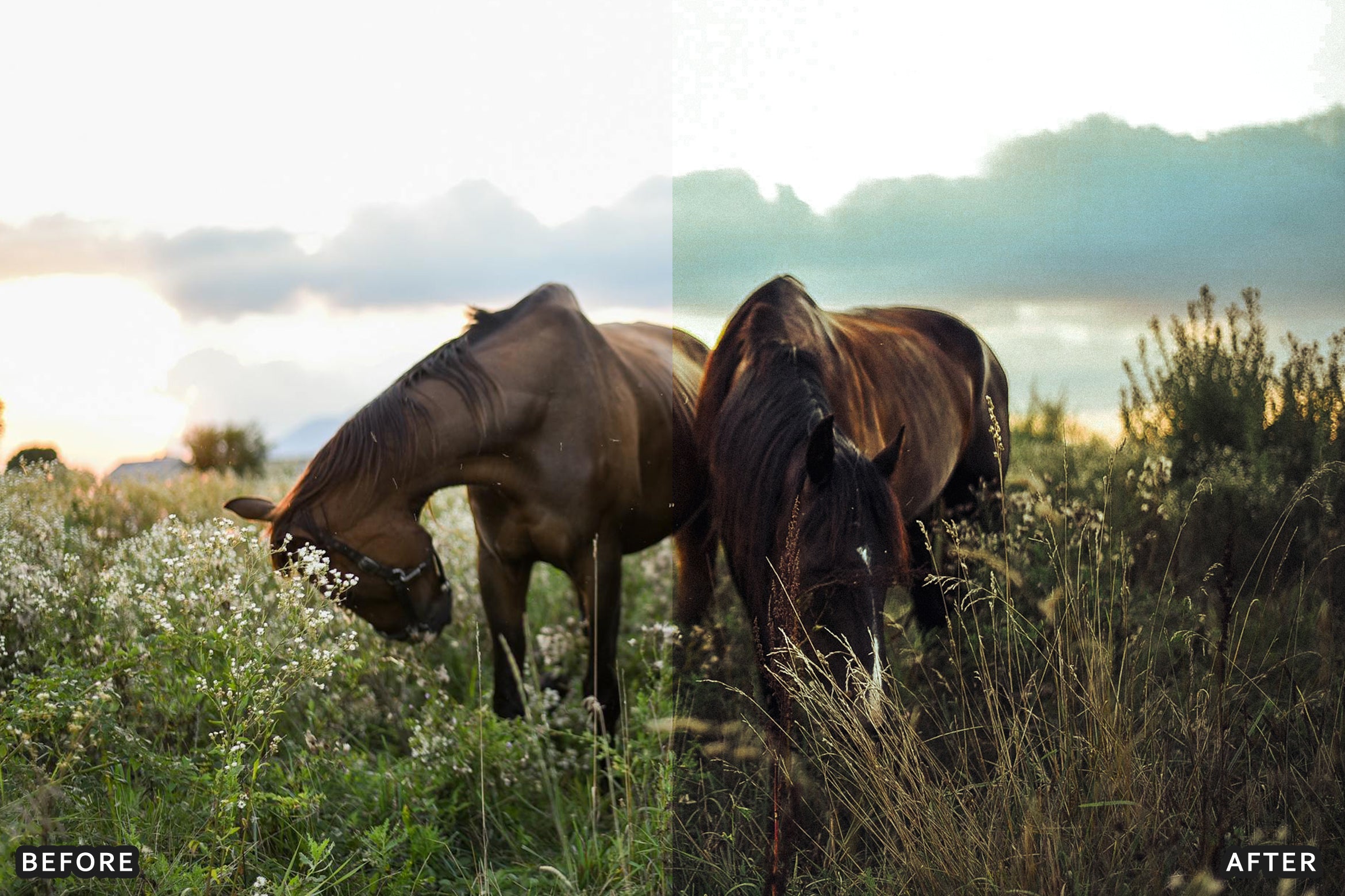AI-Optimized Horse Ranch Lightroom Presets - Lightroom Presets - by AAA Presets