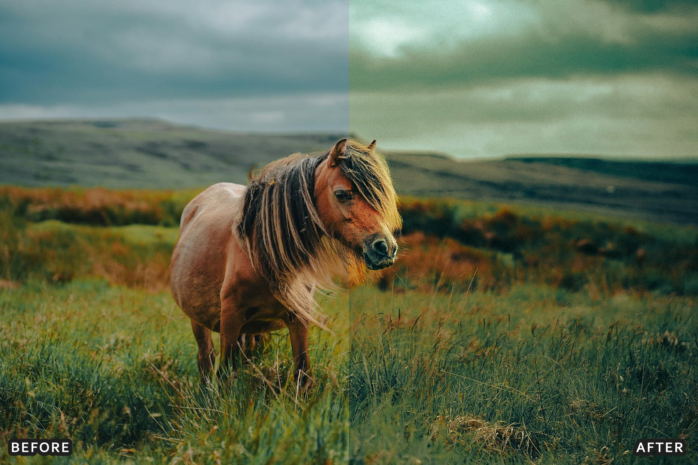 AI-Optimized Horse Ranch Lightroom Presets - Lightroom Presets - by AAA Presets