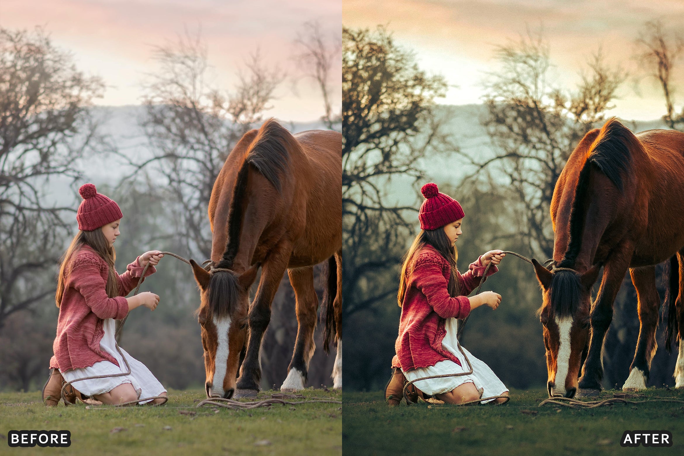 AI-Optimized Horse Ranch Lightroom Presets - Lightroom Presets - by AAA Presets