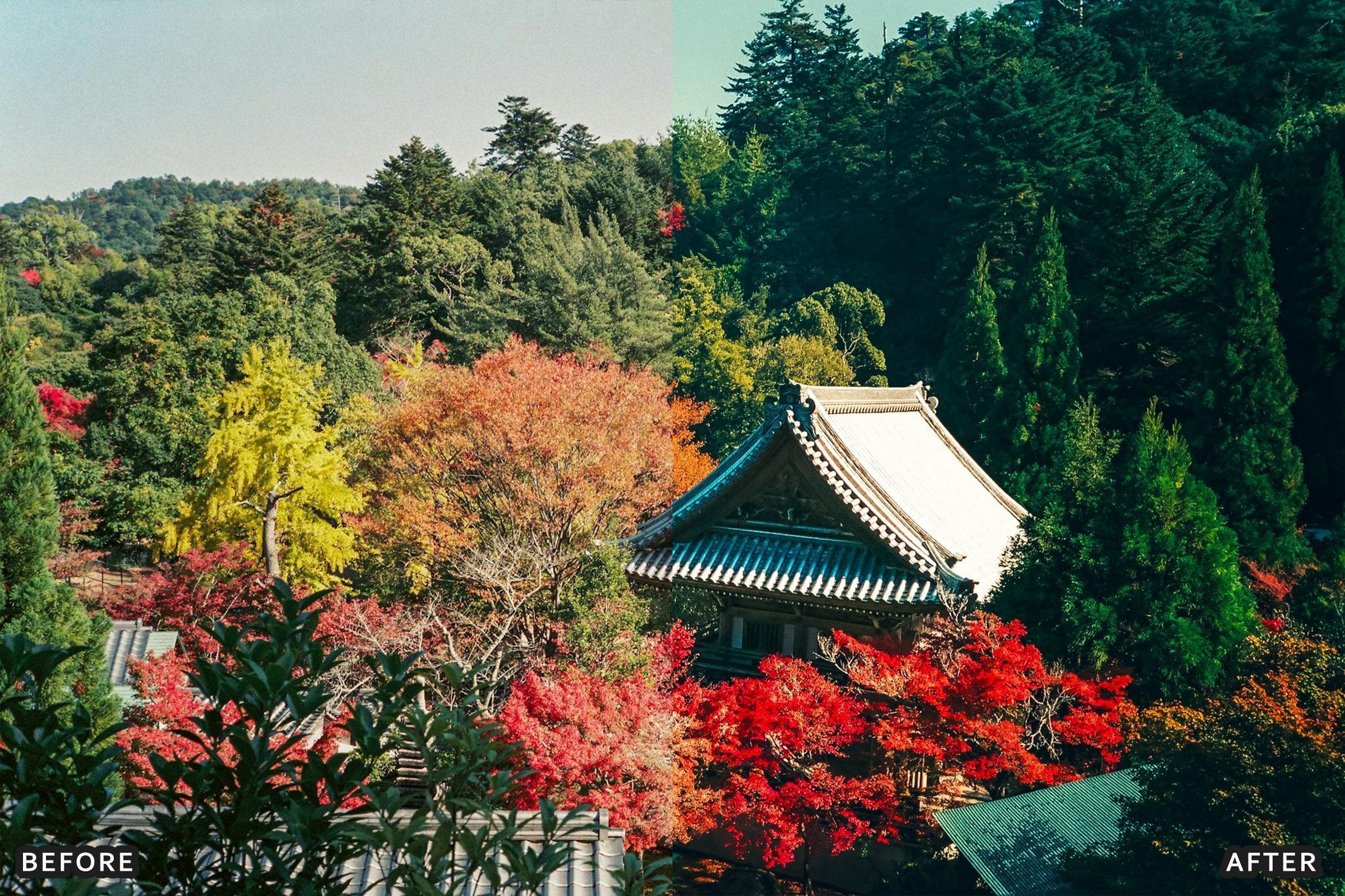 AI-Optimized Japan Anime Lightroom Presets - Lightroom Presets - by AAA Presets