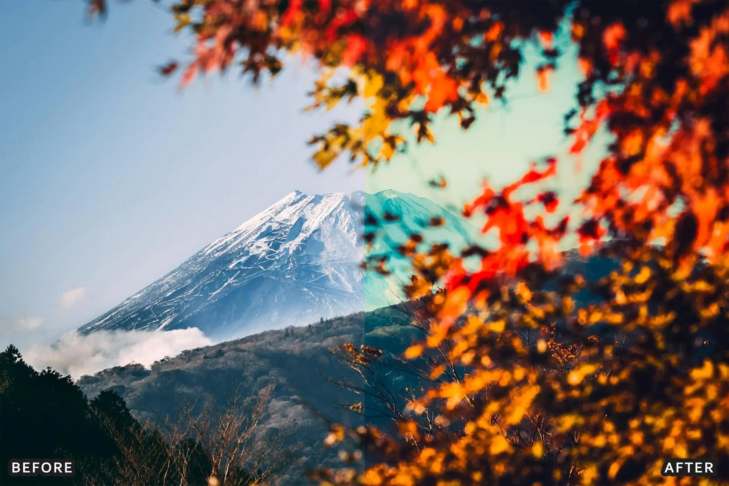 AI-Optimized Japan Anime Lightroom Presets - Lightroom Presets - by AAA Presets