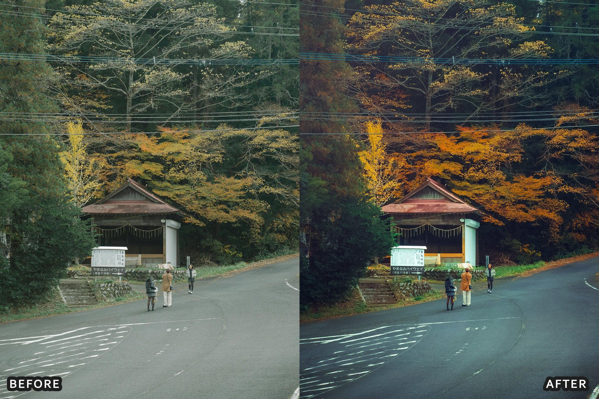 AI-Optimized Japan Anime Lightroom Presets - Lightroom Presets - by AAA Presets