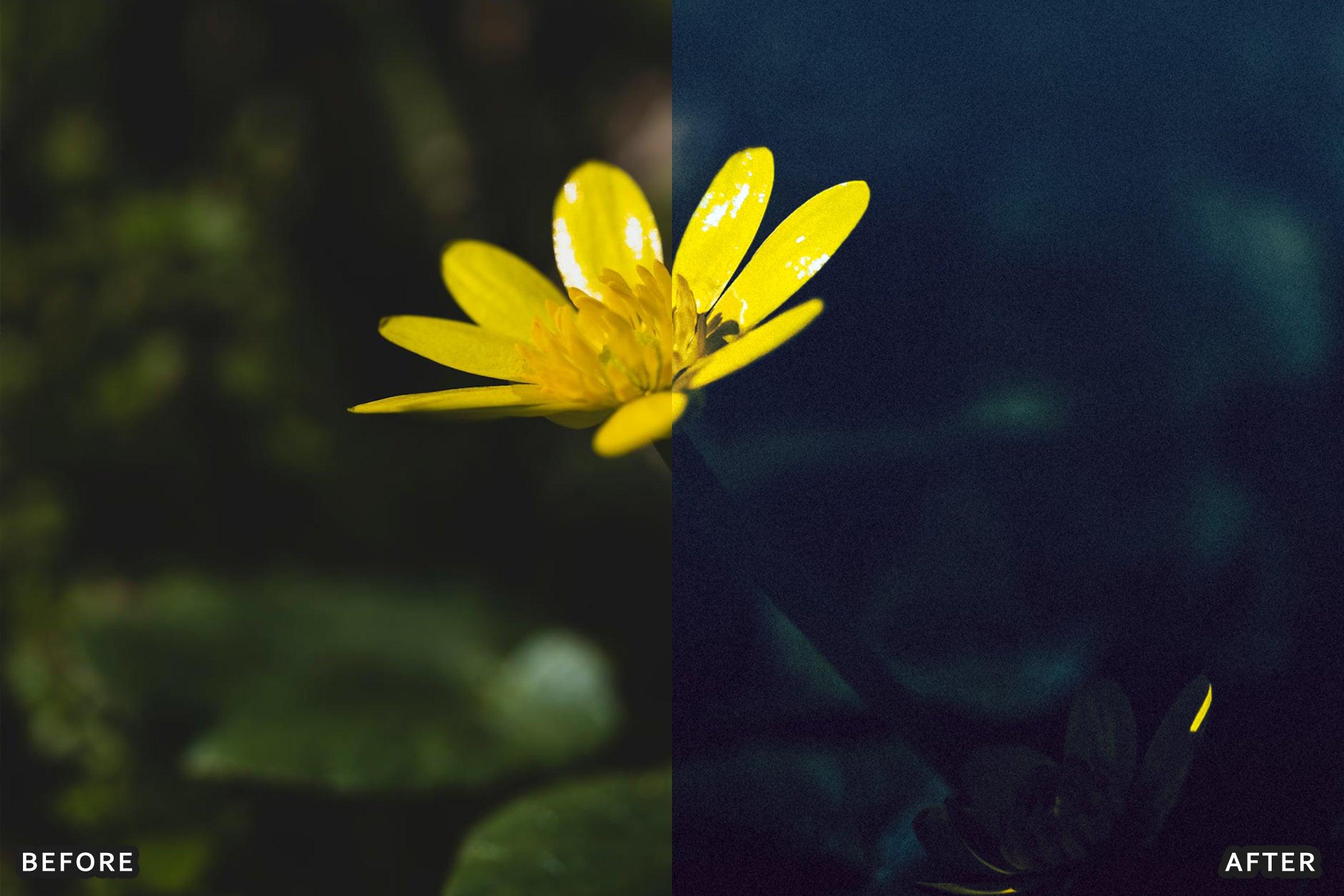 AI-Optimized Macro Photography Lightroom Presets - Lightroom Presets - by AAA Presets