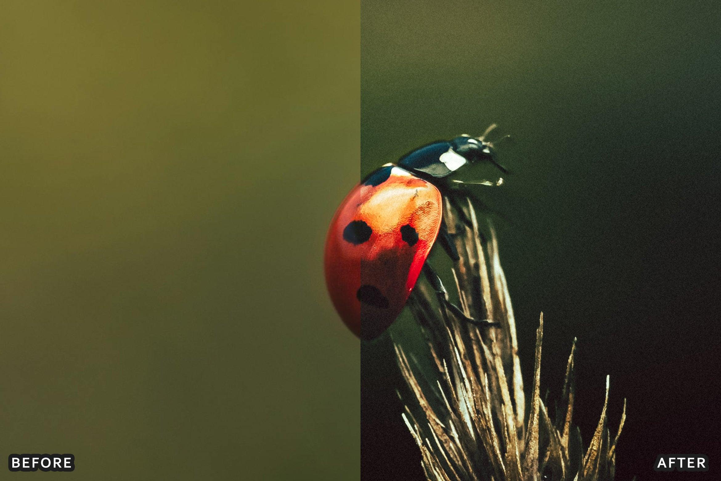 AI-Optimized Macro Photography Lightroom Presets - Lightroom Presets - by AAA Presets