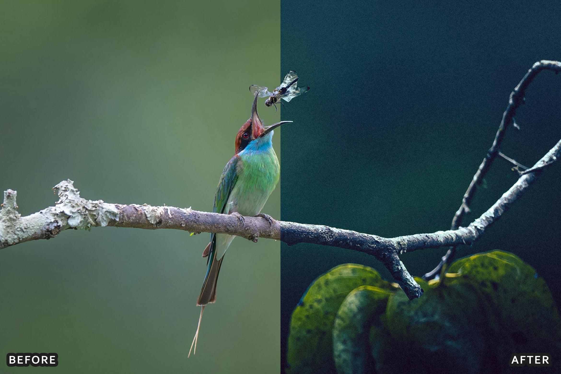 AI-Optimized Macro Photography Lightroom Presets - Lightroom Presets - by AAA Presets