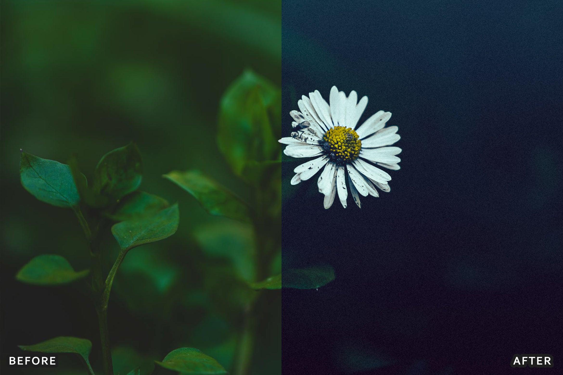 AI-Optimized Macro Photography Lightroom Presets - Lightroom Presets - by AAA Presets