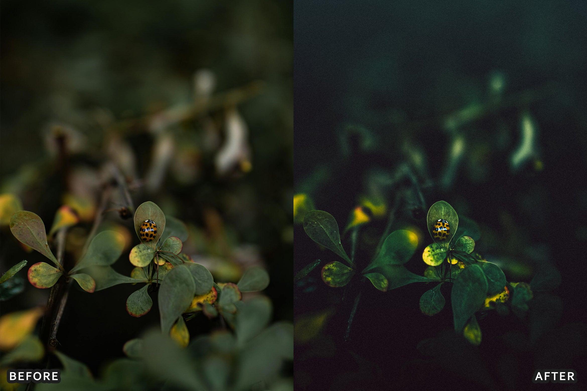 AI-Optimized Macro Photography Lightroom Presets - Lightroom Presets - by AAA Presets