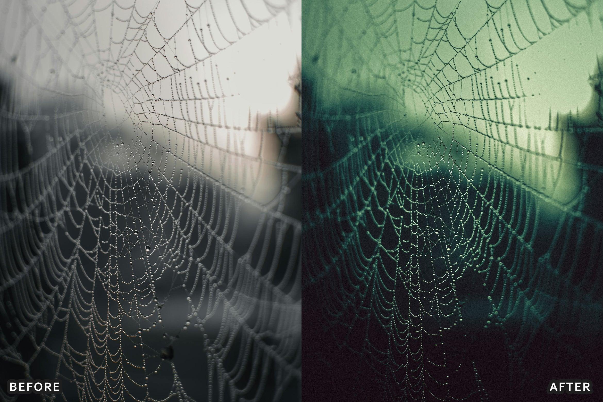 AI-Optimized Macro Photography Lightroom Presets - Lightroom Presets - by AAA Presets